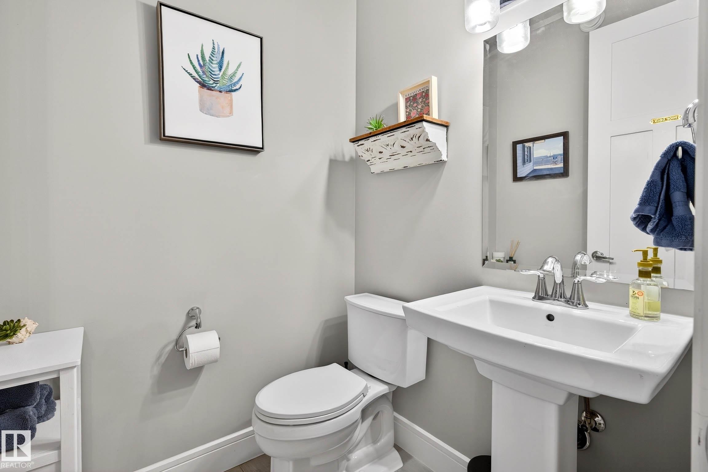 9036 24 Avenue Sw, Edmonton, AB - Indoor Photo Showing Bathroom