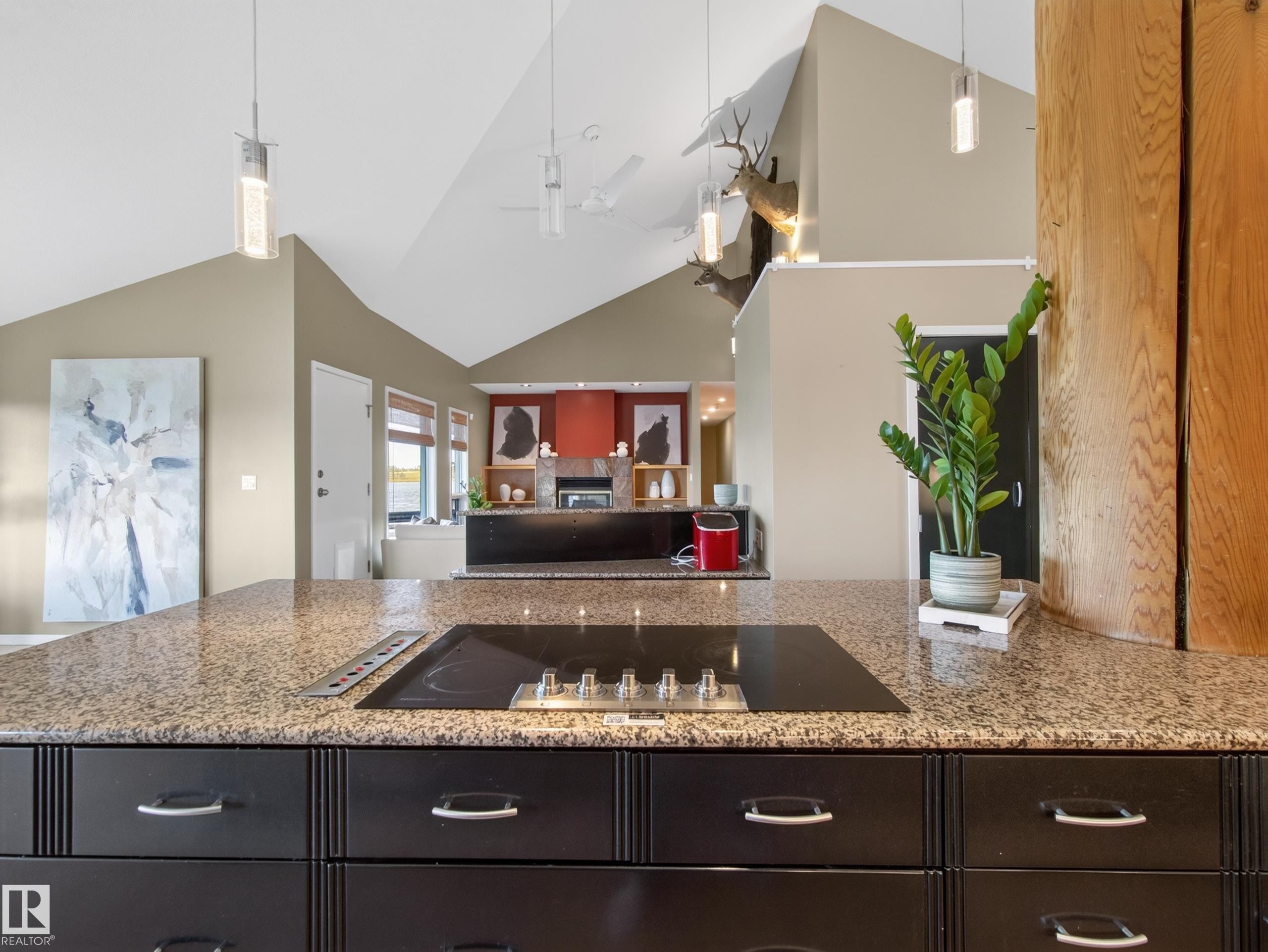 48208 Range Road, Rural Beaver County, AB - Indoor Photo Showing Kitchen