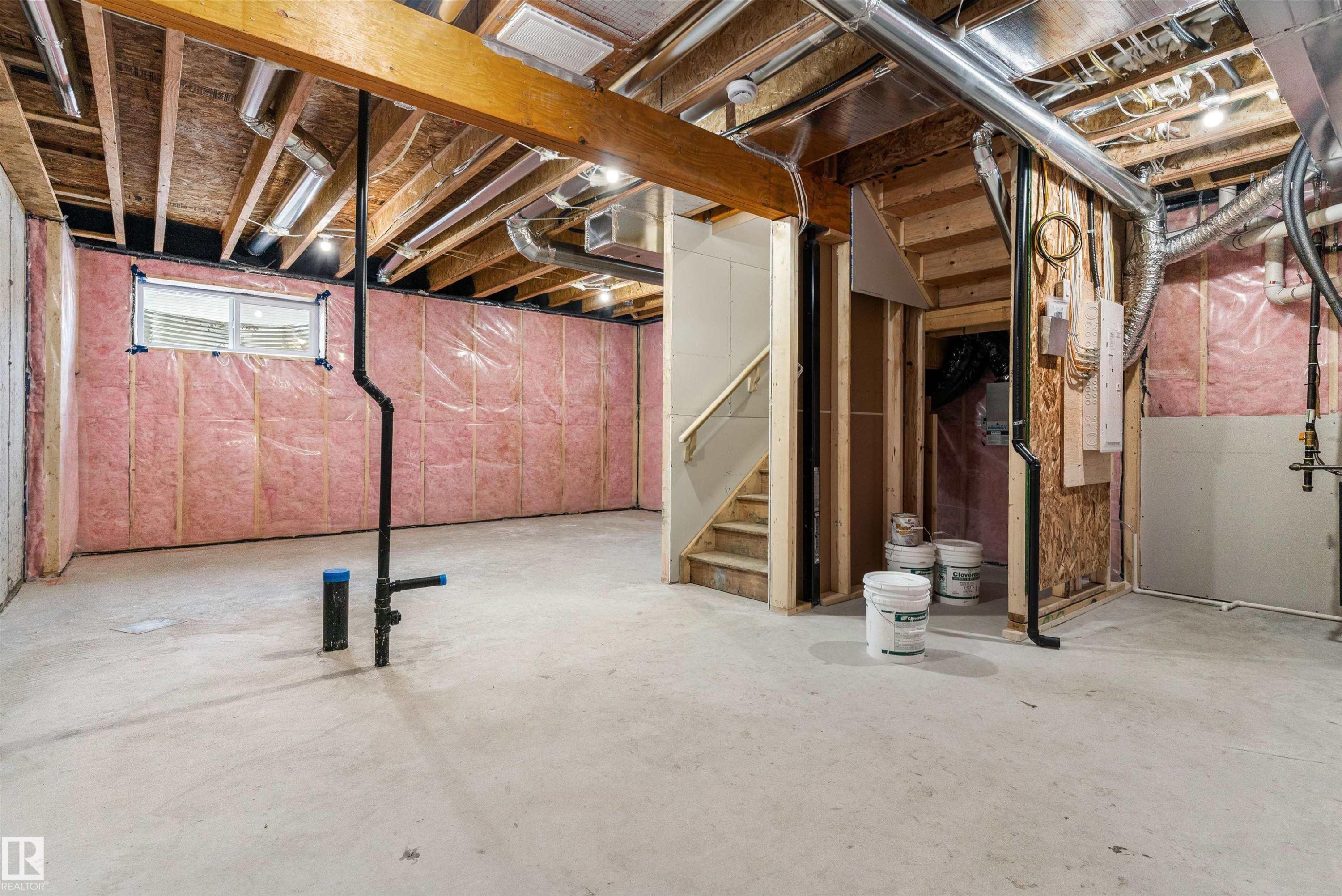 913 19 Avenue Nw, Edmonton, AB - Indoor Photo Showing Basement