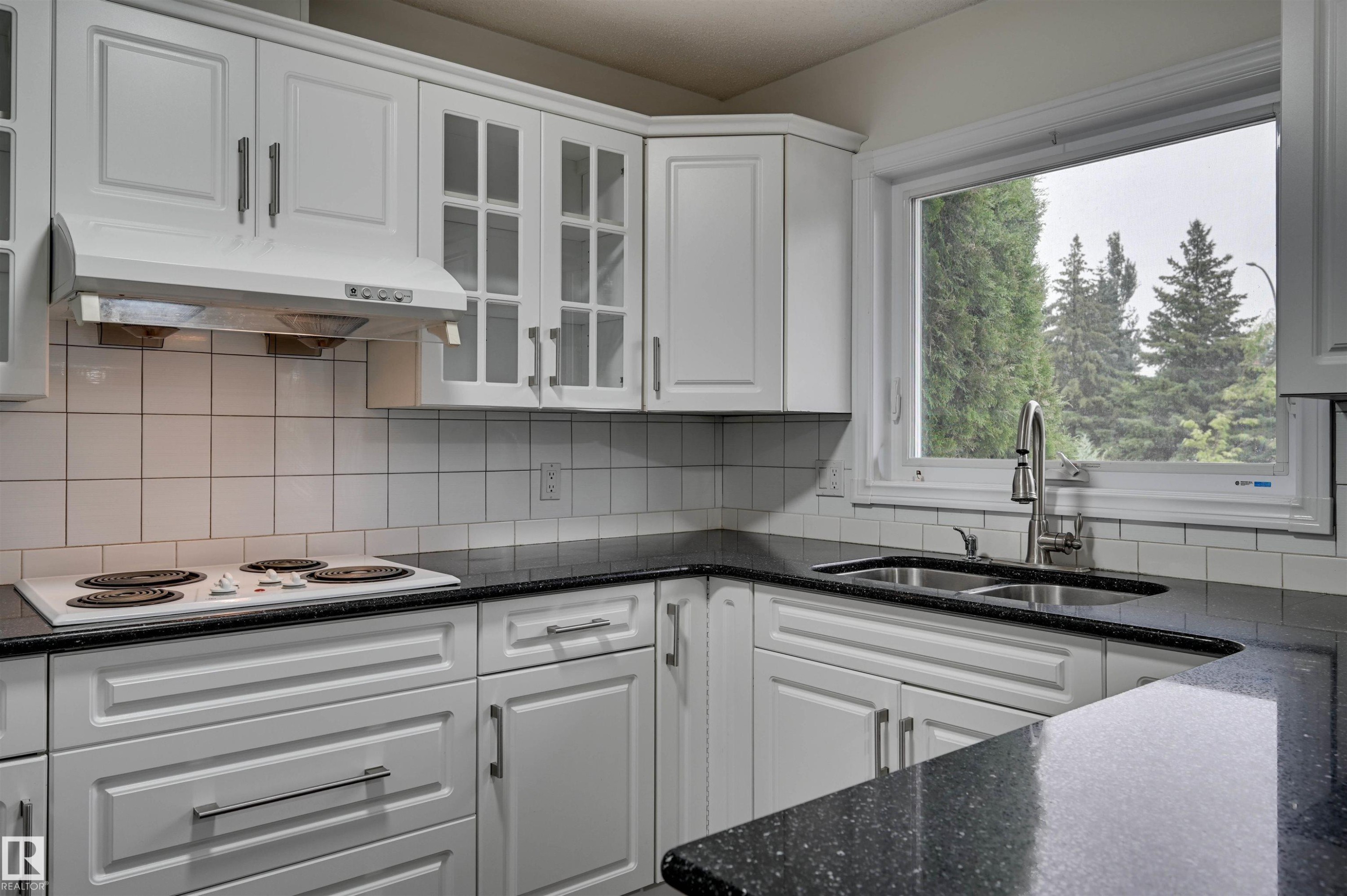 5507 179 Street Nw, Edmonton, AB - Indoor Photo Showing Kitchen With Double Sink