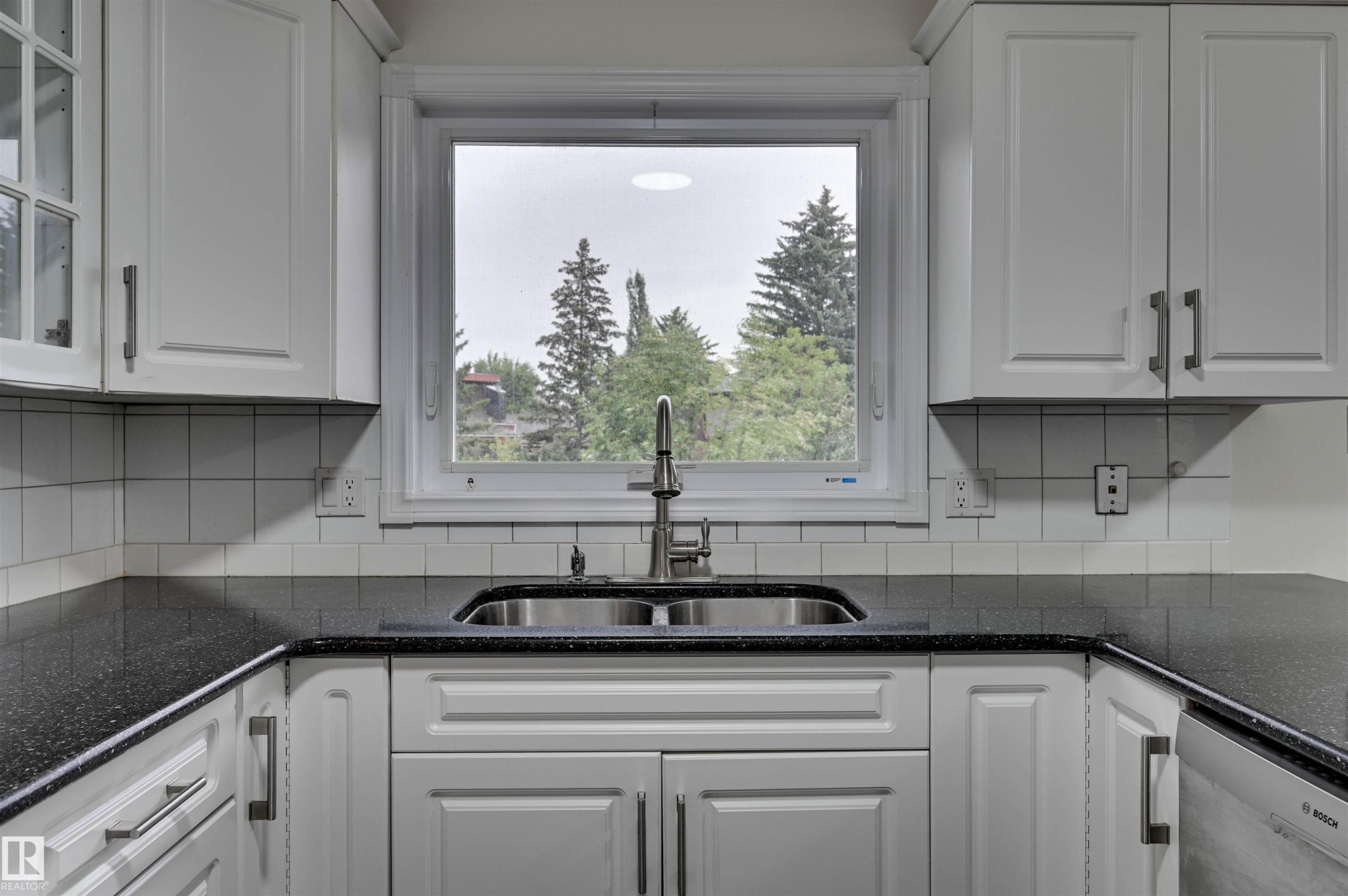 5507 179 Street Nw, Edmonton, AB - Indoor Photo Showing Kitchen With Double Sink