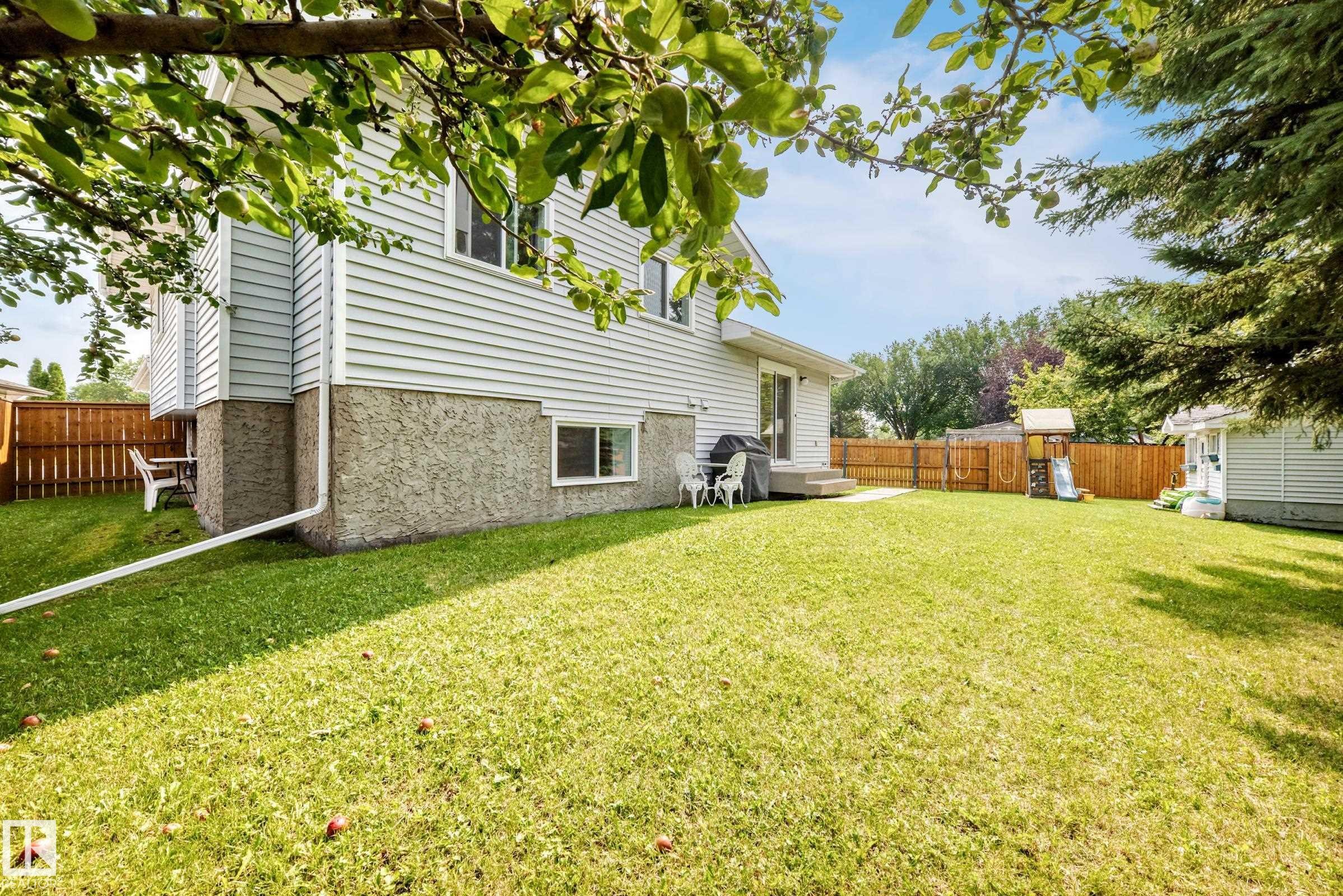 Expansive grassy yard with mature trees, privacy fencing, and a ground-level deck - 2404 37 Street Nw, Edmonton, AB - Outdoor