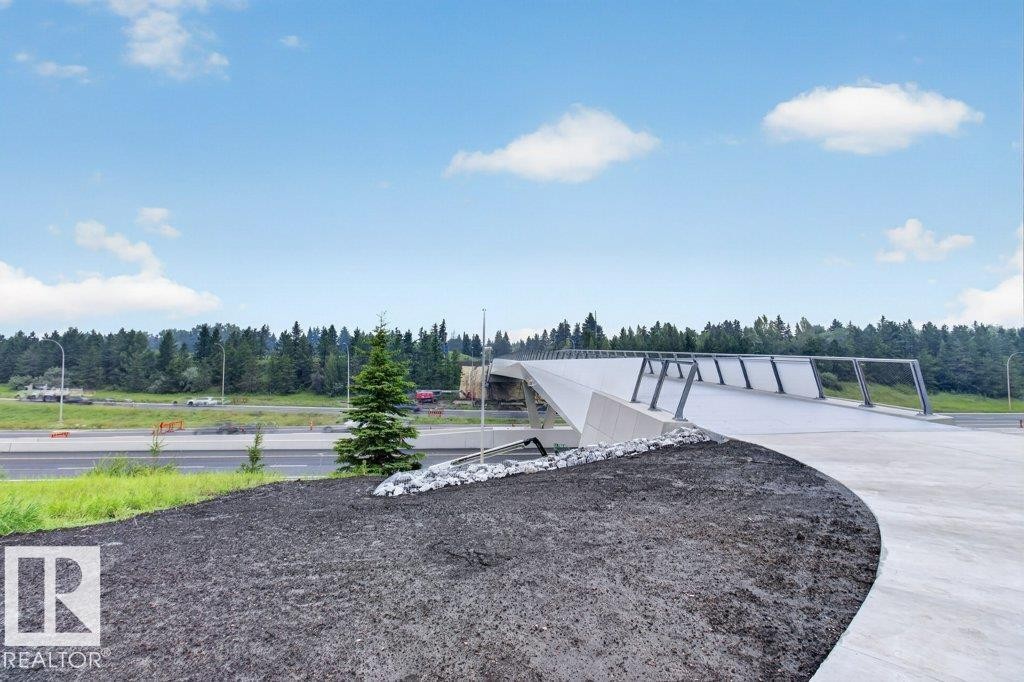 925 Burrows Crescent Nw, Edmonton, AB - Outdoor With View