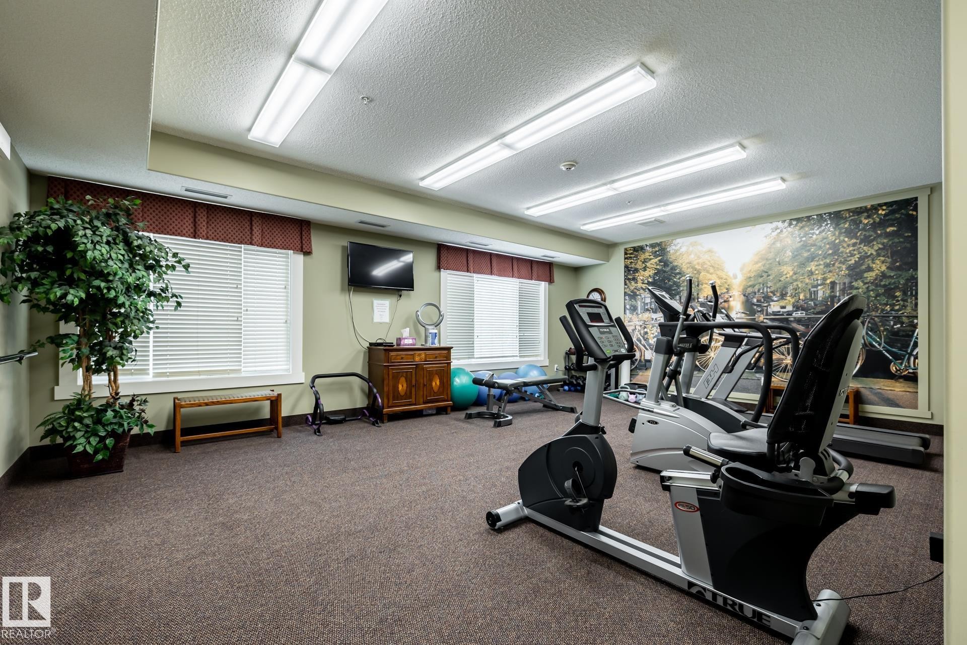 #133, 511 Queen St, Spruce Grove, AB - Indoor Photo Showing Gym Room