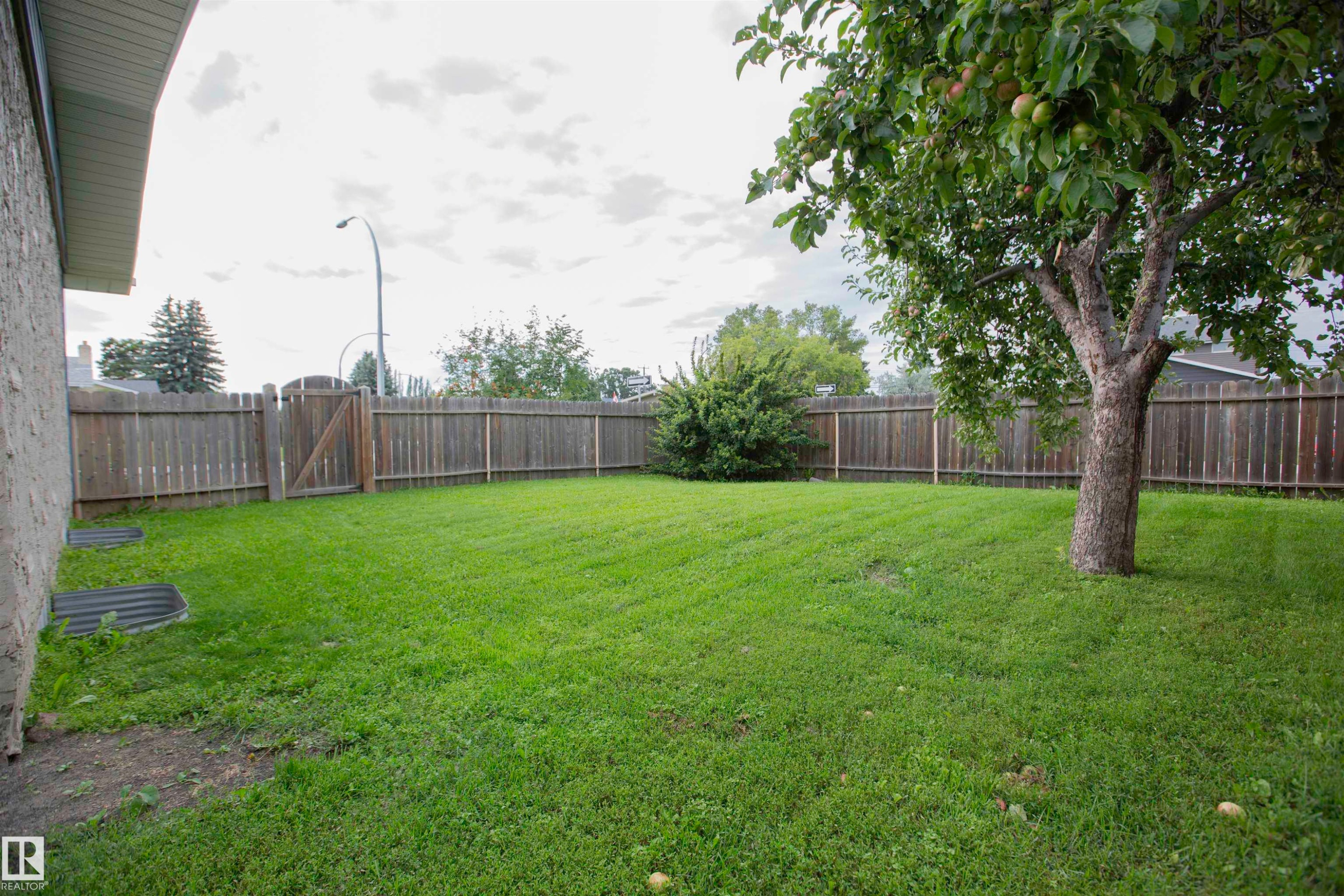 Expansive backyard with a manicured lawn, established tree, and full perimeter wood fence - 9107 58 Street Nw, Edmonton, AB - Outdoor With Backyard