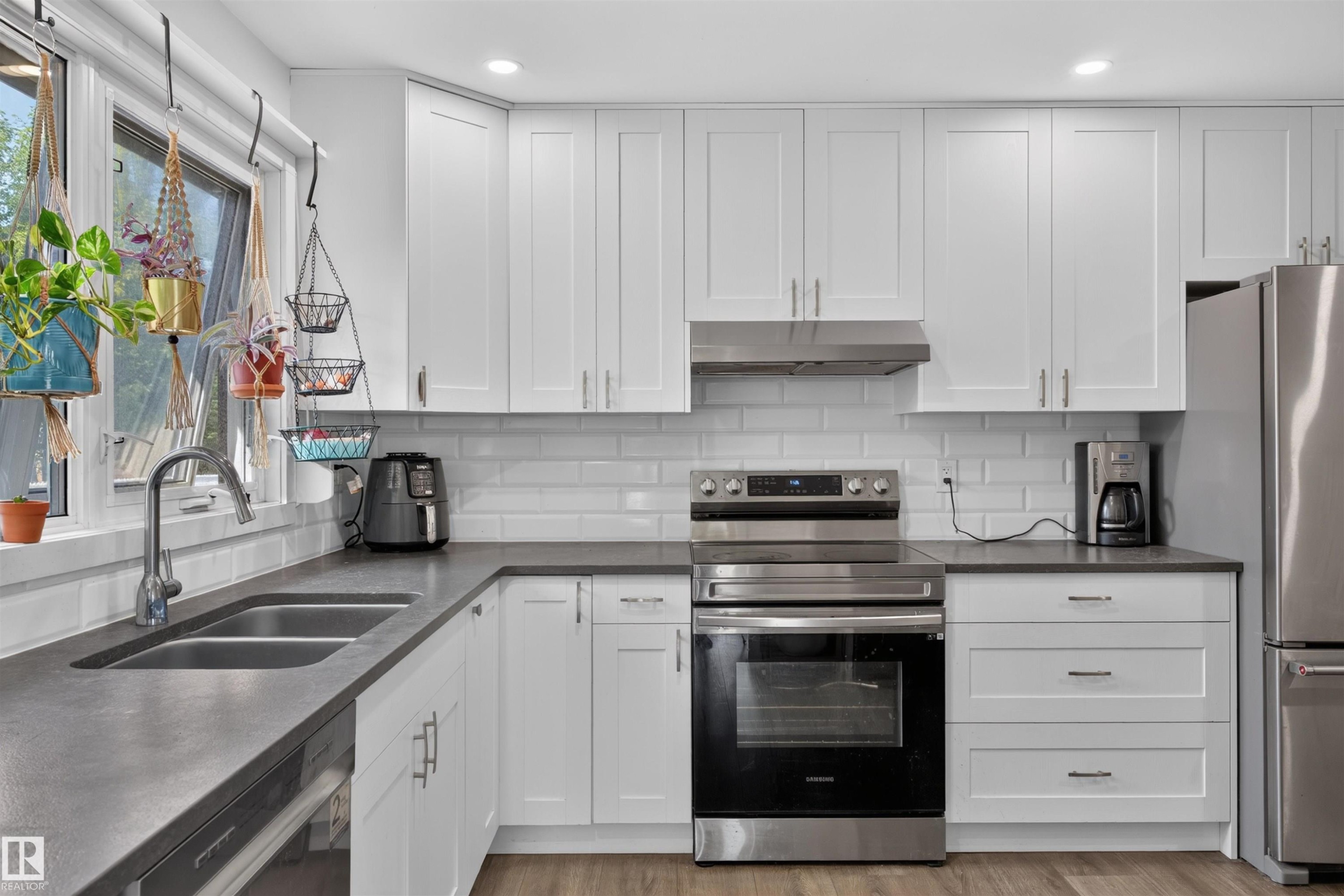 4124 110 Street Nw, Edmonton, AB - Indoor Photo Showing Kitchen With Double Sink