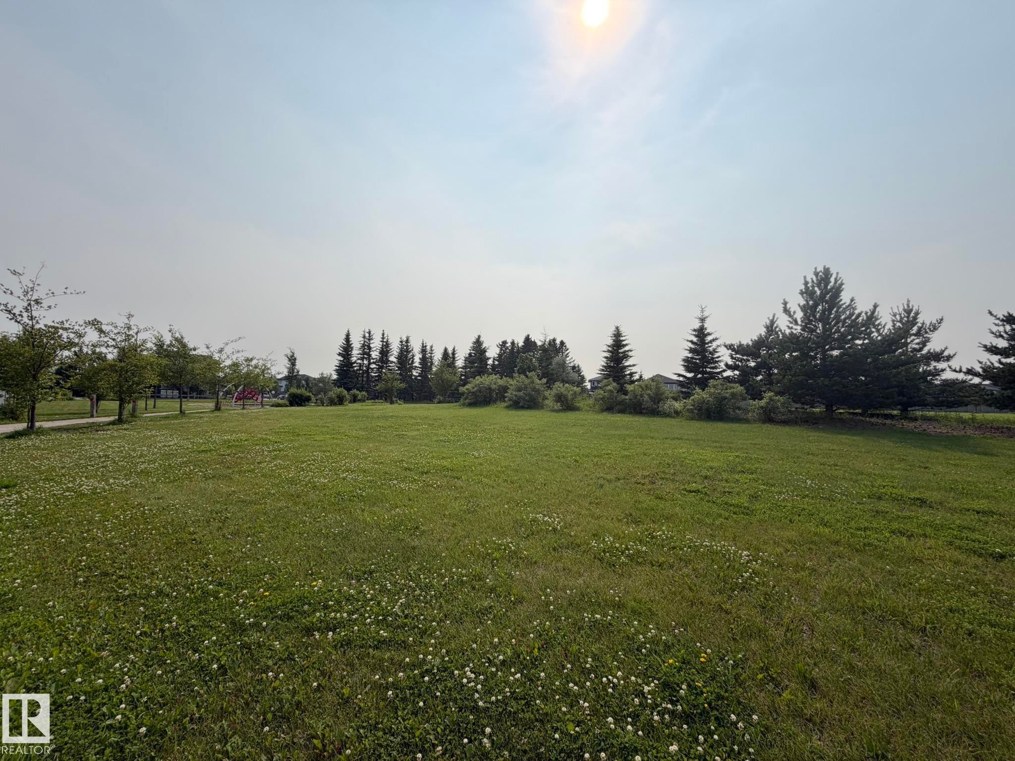 Expansive green space featuring a large lawn with clover, mature deciduous trees bordering a paved pathway, and evergreen trees along the perimeter - 466 Chappelle Drive Sw, Edmonton, AB - Outdoor With View