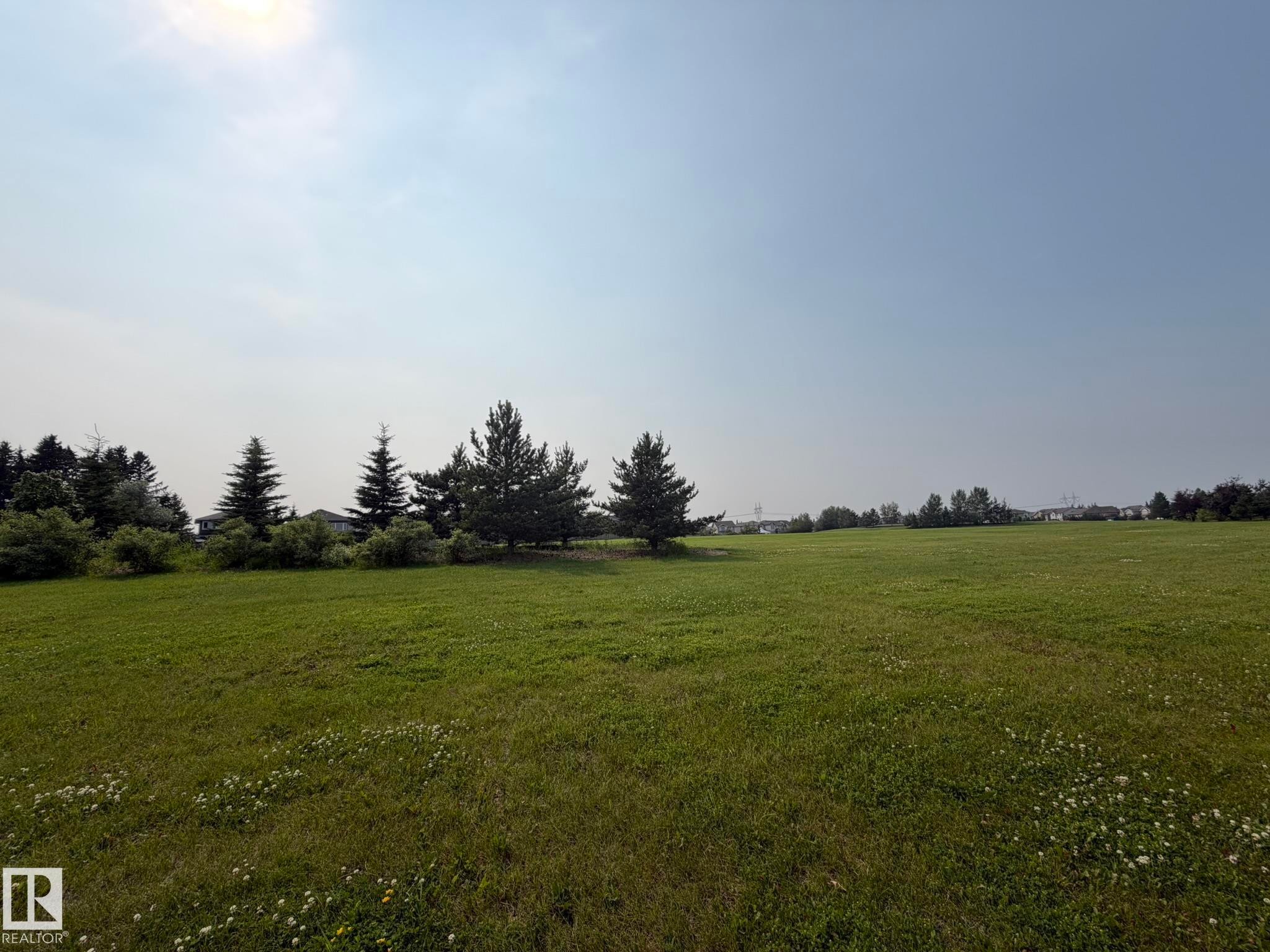 Expansive green field featuring distant evergreen trees and scattered white clover - 466 Chappelle Drive Sw, Edmonton, AB - Outdoor With View