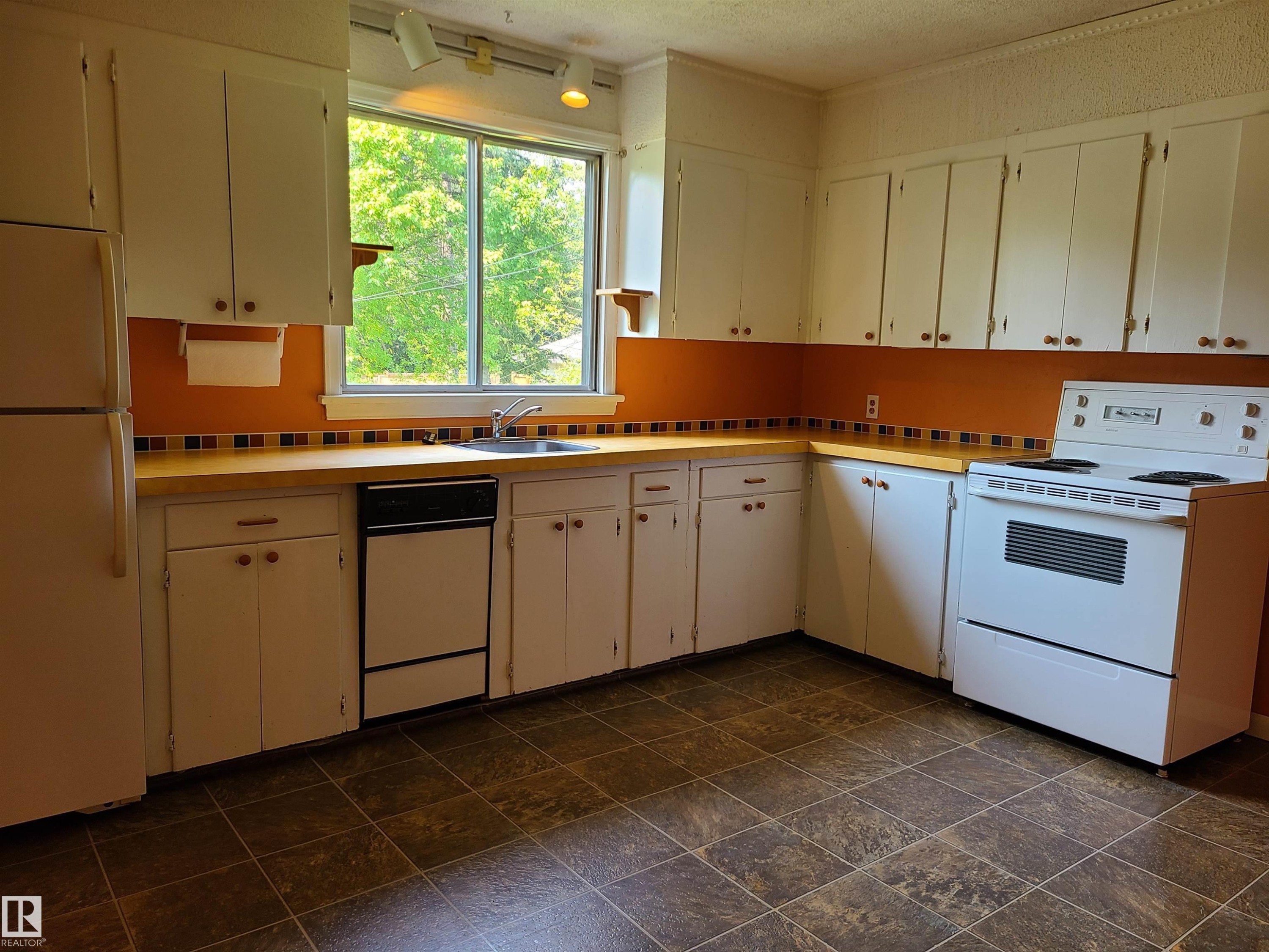 6326 109A Street Nw, Edmonton, AB - Indoor Photo Showing Kitchen