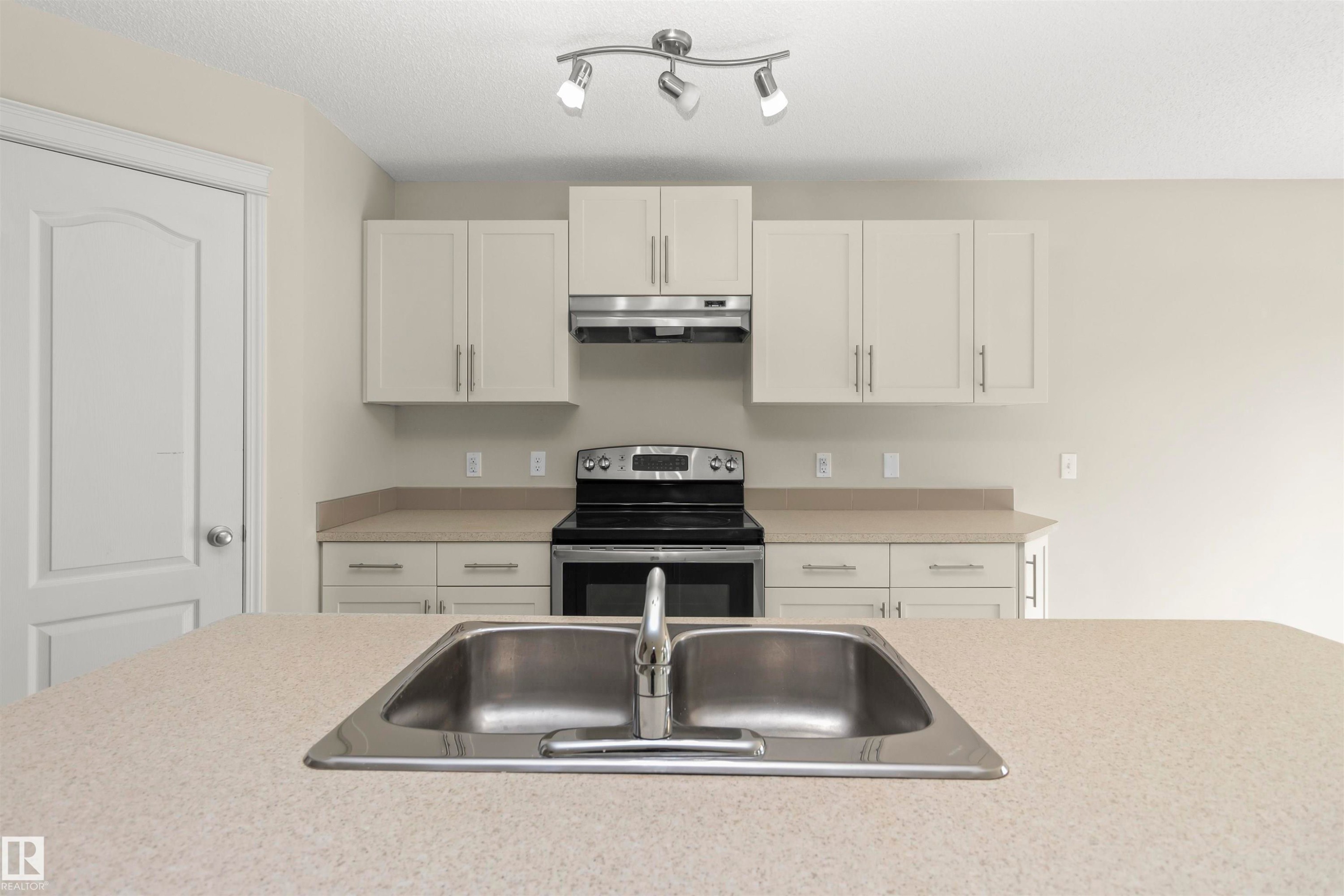 17205 73 Street Nw, Edmonton, AB - Indoor Photo Showing Kitchen With Double Sink