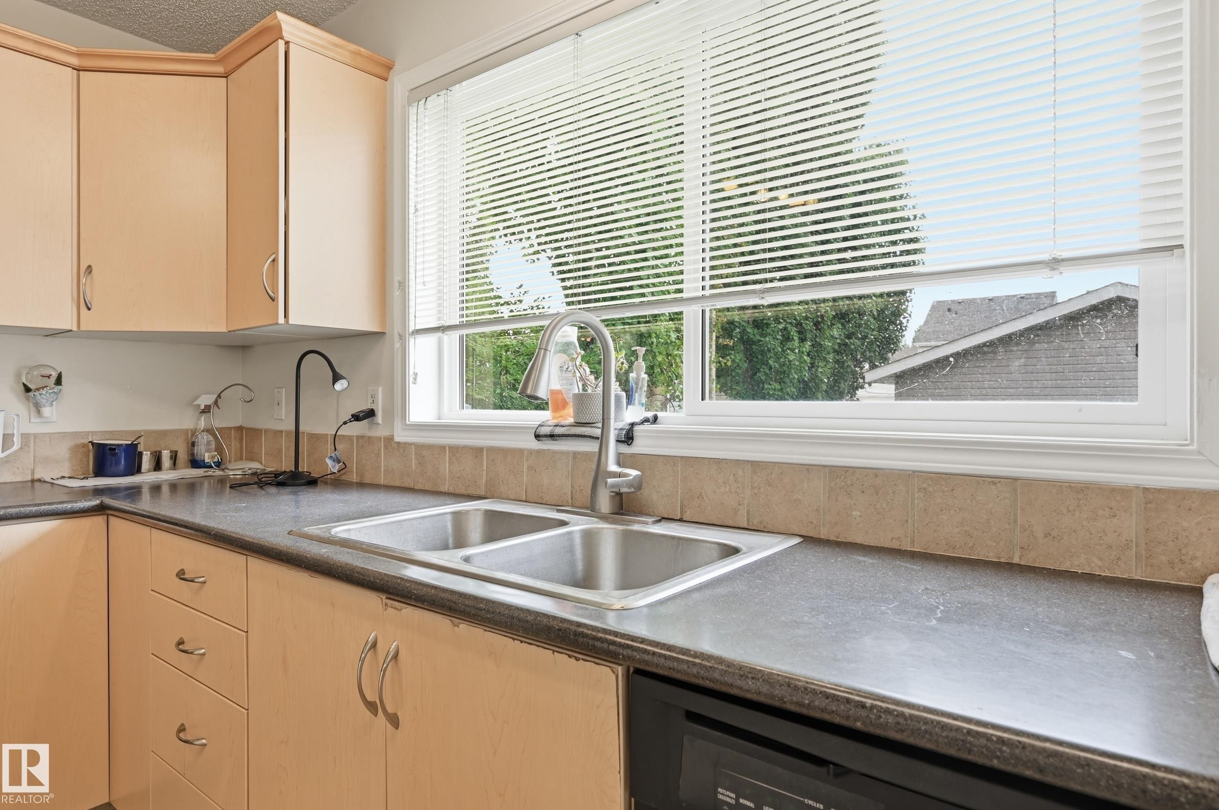 1516 76 Street Sw, Edmonton, AB - Indoor Photo Showing Kitchen With Double Sink