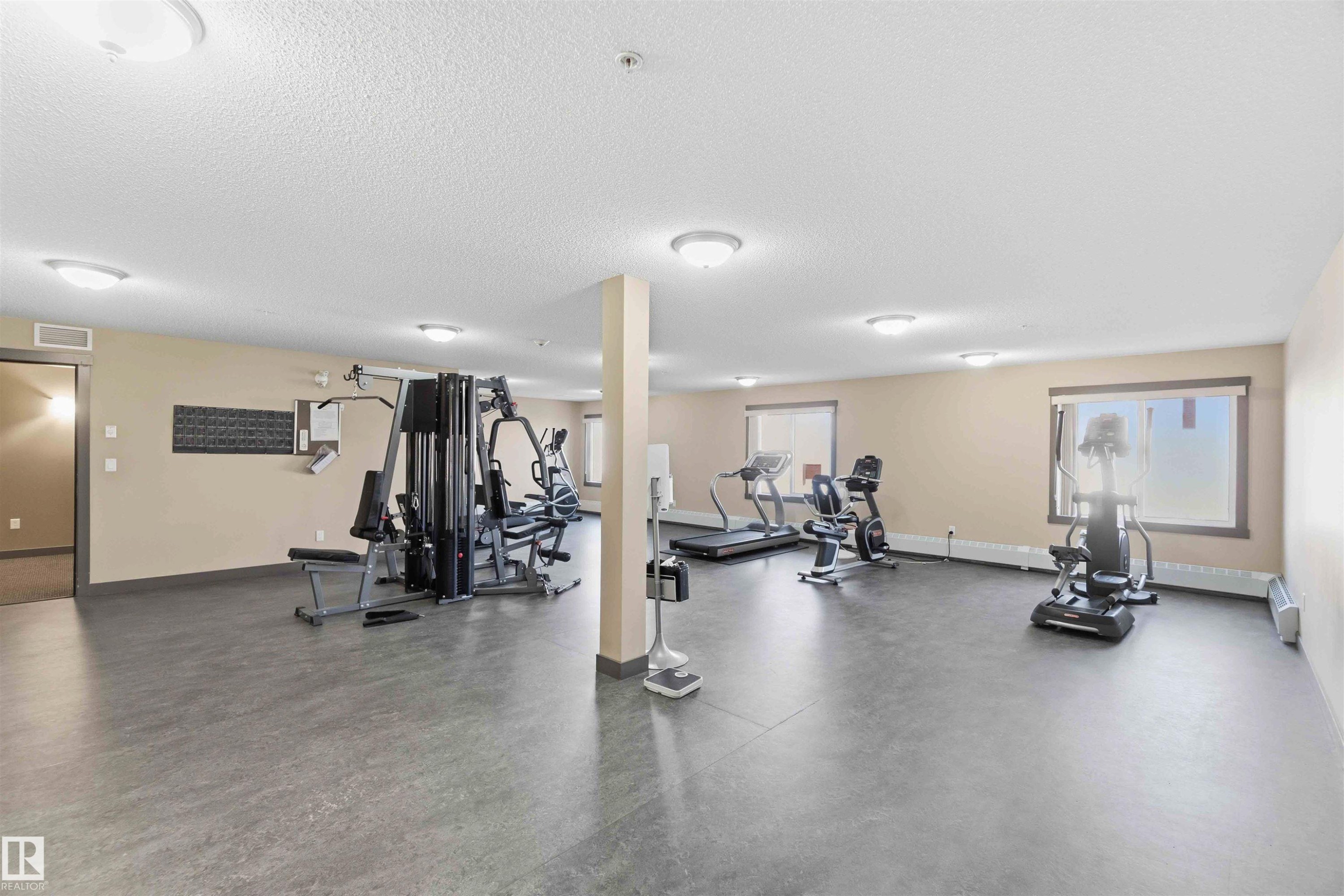 Dedicated fitness center with multiple exercise machines - #114 2207 44 Av Nw, Edmonton, AB - Indoor Photo Showing Gym Room
