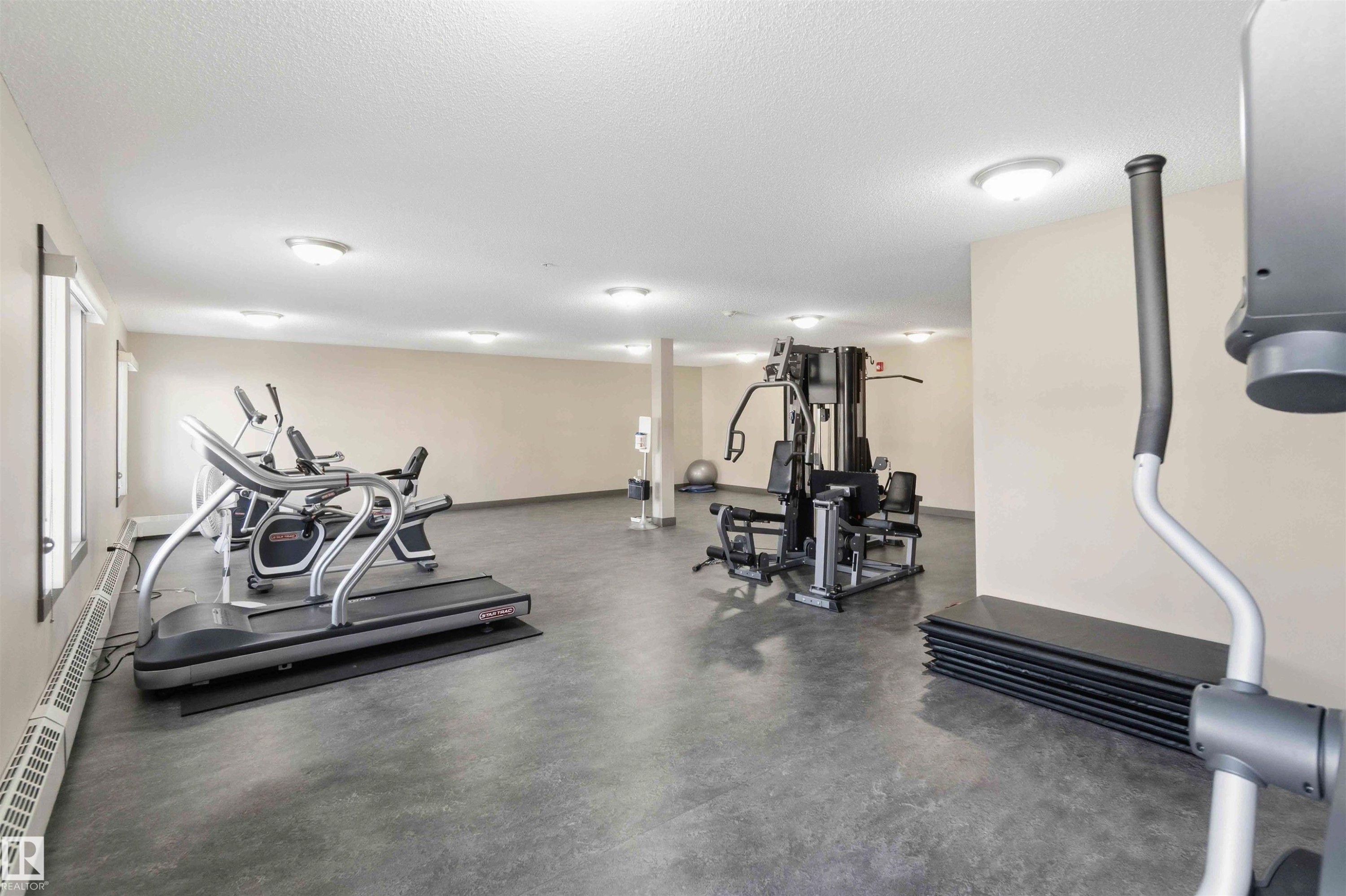 Fitness room featuring a multi-station weight machine, cardio equipment, and durable concrete-finish flooring - #114 2207 44 Av Nw, Edmonton, AB - Indoor Photo Showing Gym Room