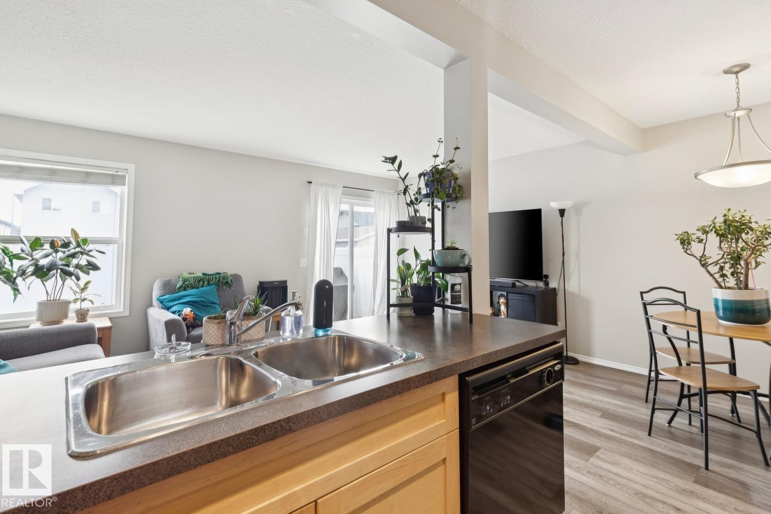 #22 230 Edwards Dr Sw, Edmonton, AB - Indoor Photo Showing Kitchen With Double Sink