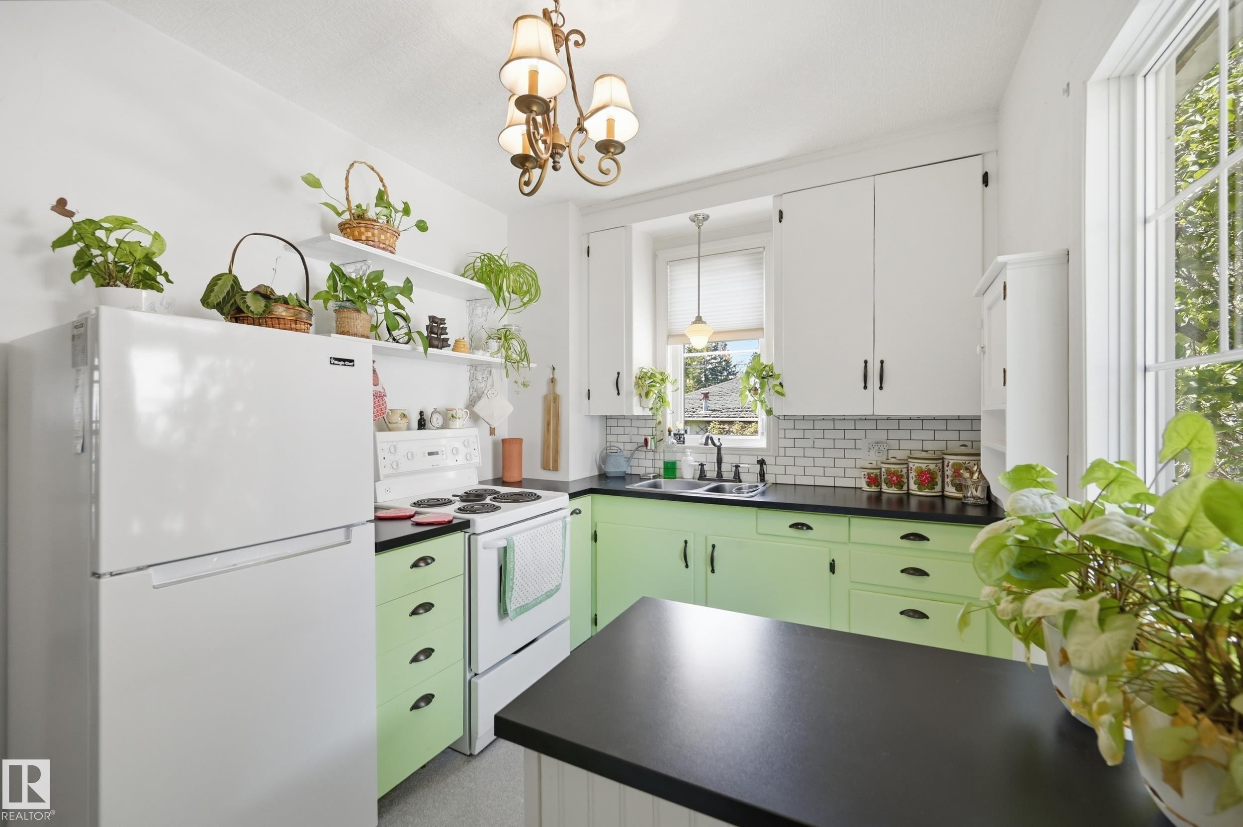 11518 101 Street Nw, Edmonton, AB - Indoor Photo Showing Kitchen With Double Sink