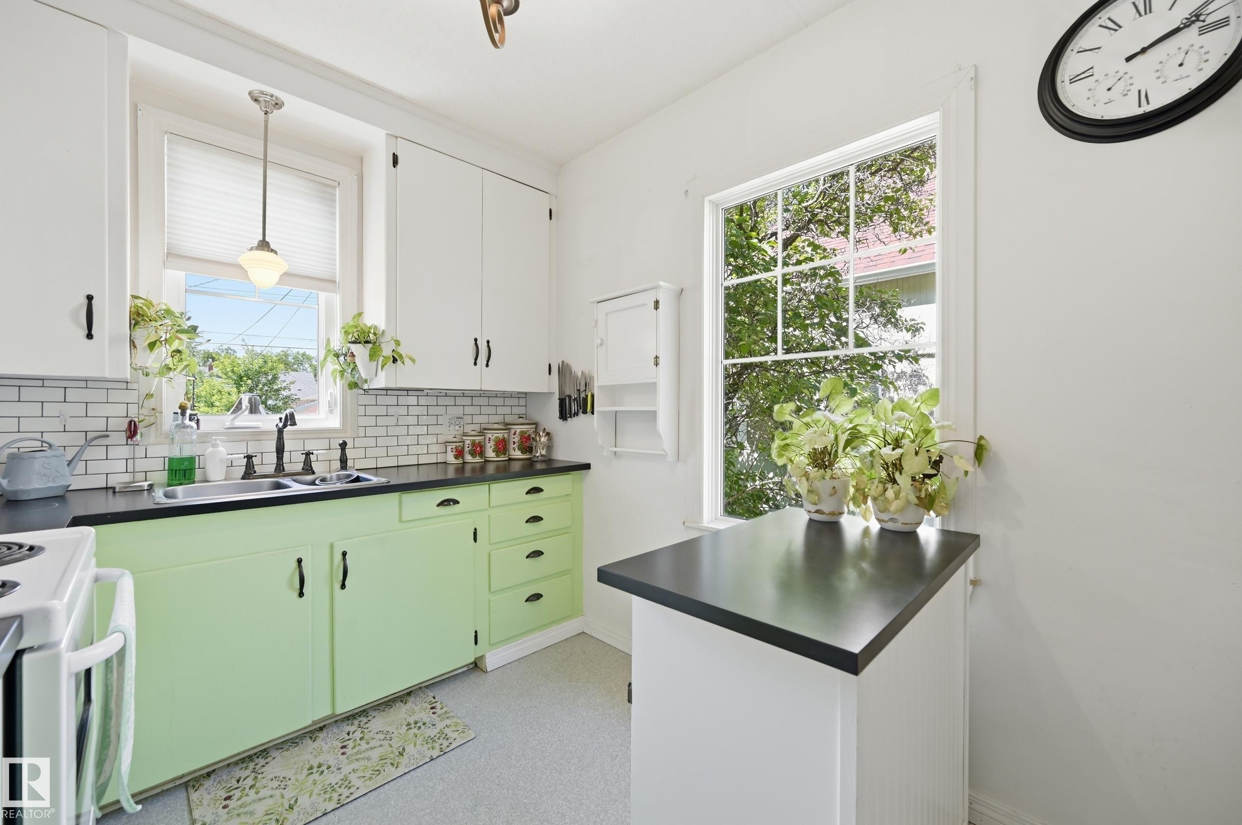 11518 101 Street Nw, Edmonton, AB - Indoor Photo Showing Kitchen With Double Sink