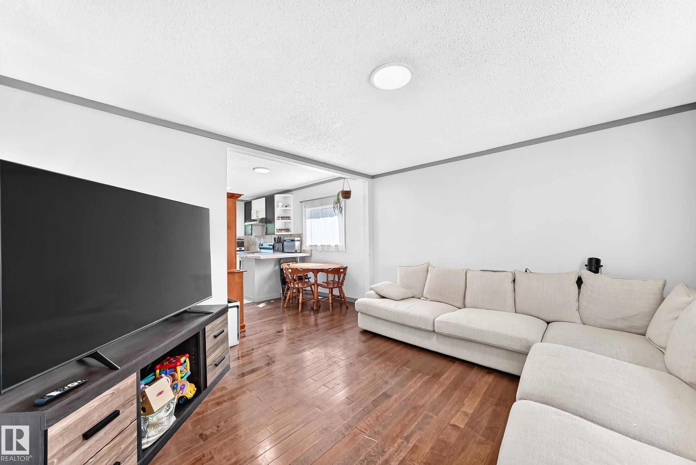 12253 94 Street Nw, Edmonton, AB - Indoor Photo Showing Living Room