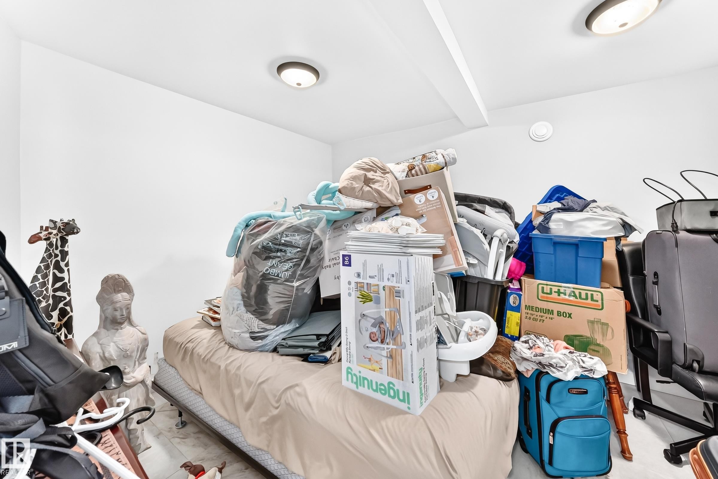 12253 94 Street Nw, Edmonton, AB - Indoor With Storage