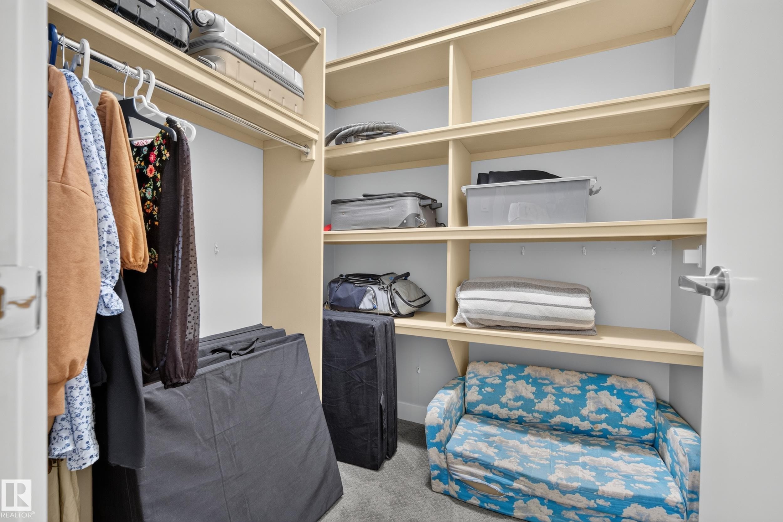 Built-in shelving with multiple levels, hanging rod, and carpeted flooring - 11018 122 Street Nw, Edmonton, AB - Indoor With Storage