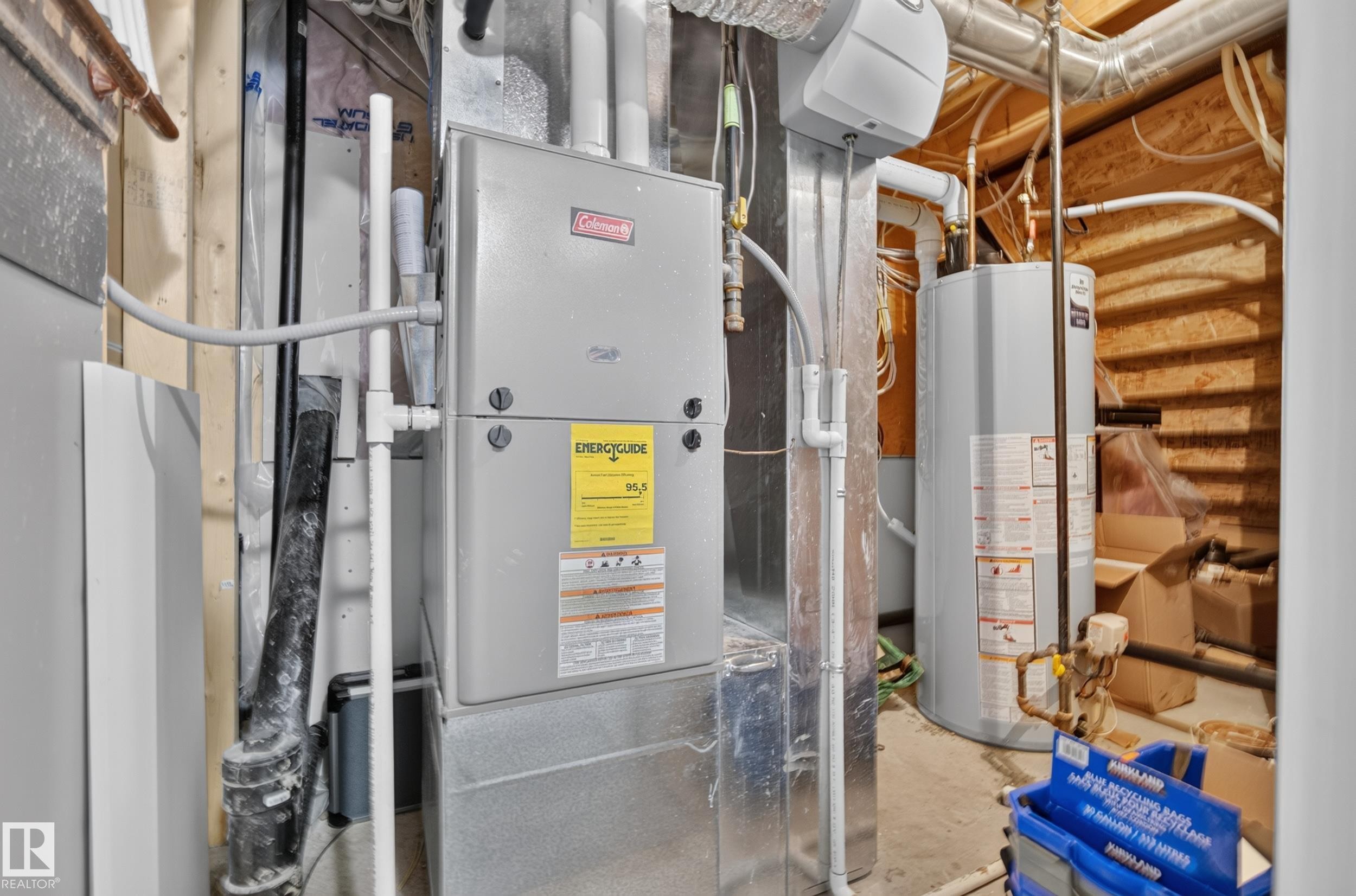 Utility area featuring a furnace and water heater - 11018 122 Street Nw, Edmonton, AB - Indoor Photo Showing Basement