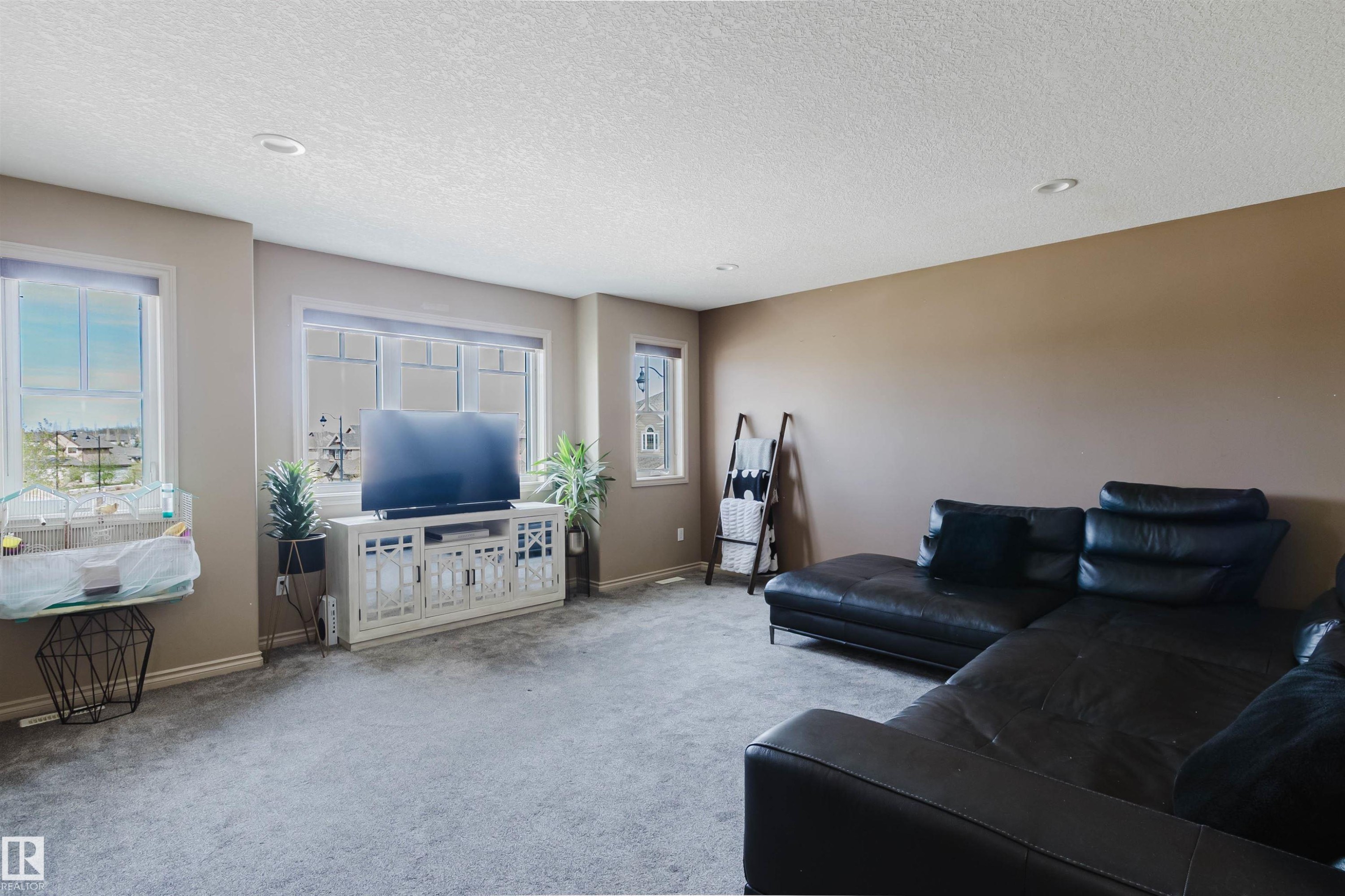 5623 206 Street Nw, Edmonton, AB - Indoor Photo Showing Living Room