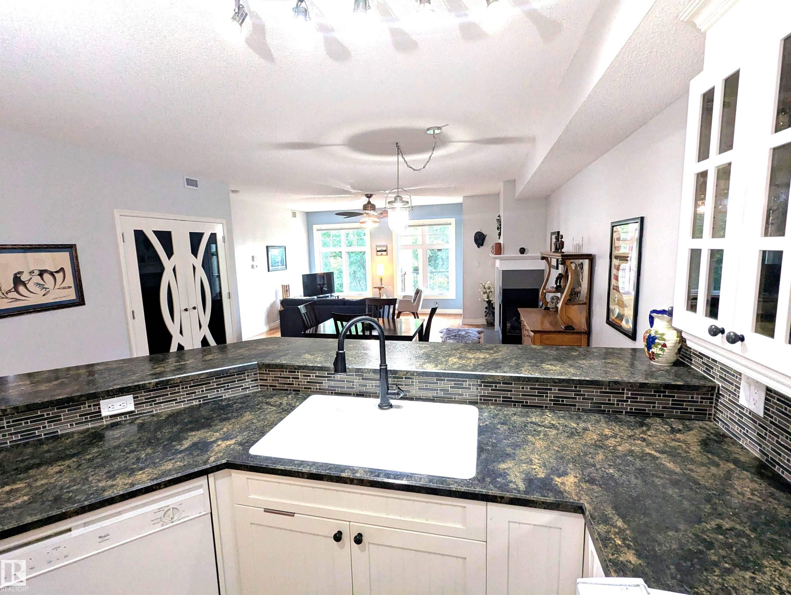 #302 9811 96A St Nw, Edmonton, AB - Indoor Photo Showing Kitchen With Double Sink