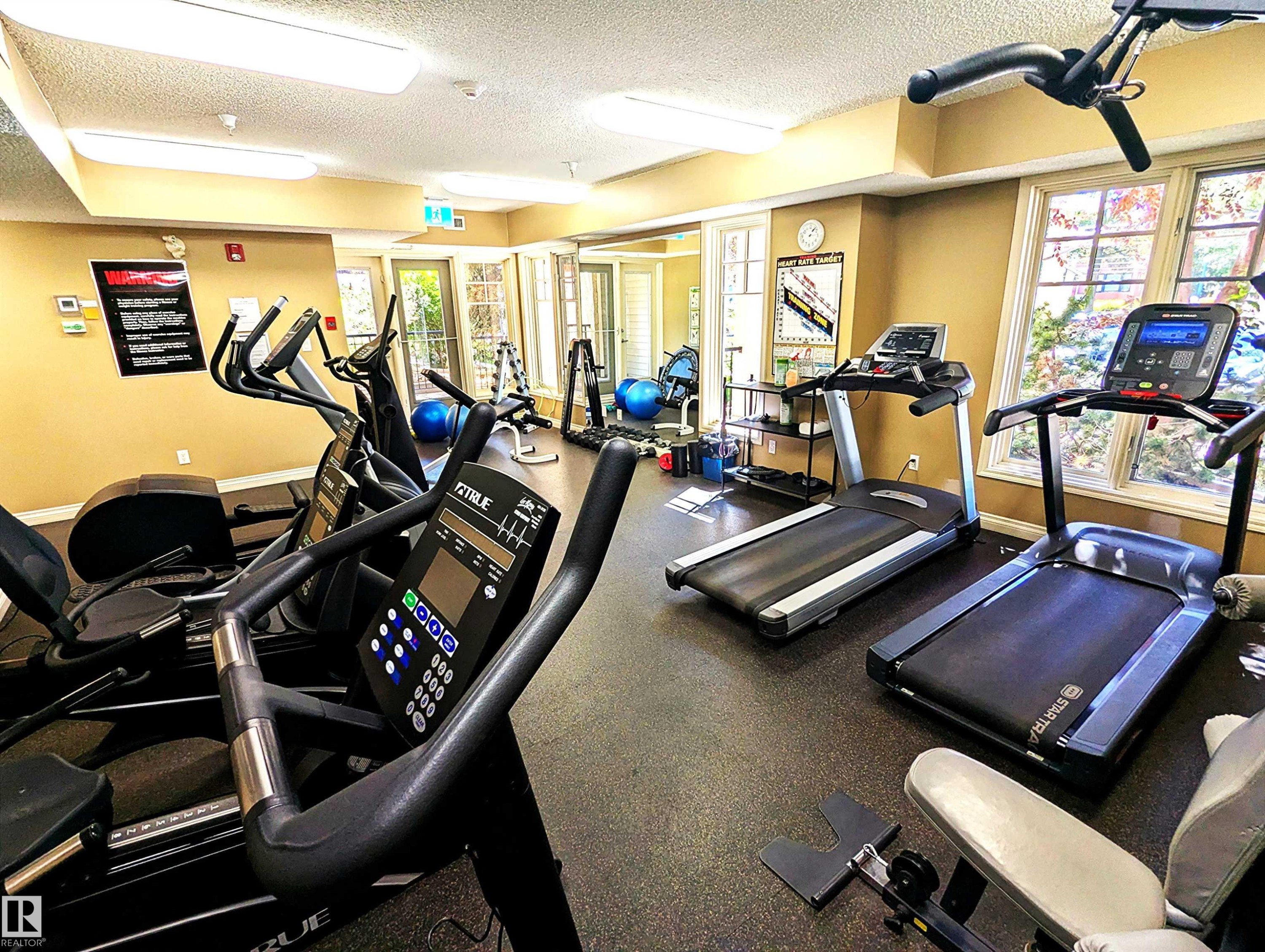 #302 9811 96A St Nw, Edmonton, AB - Indoor Photo Showing Gym Room
