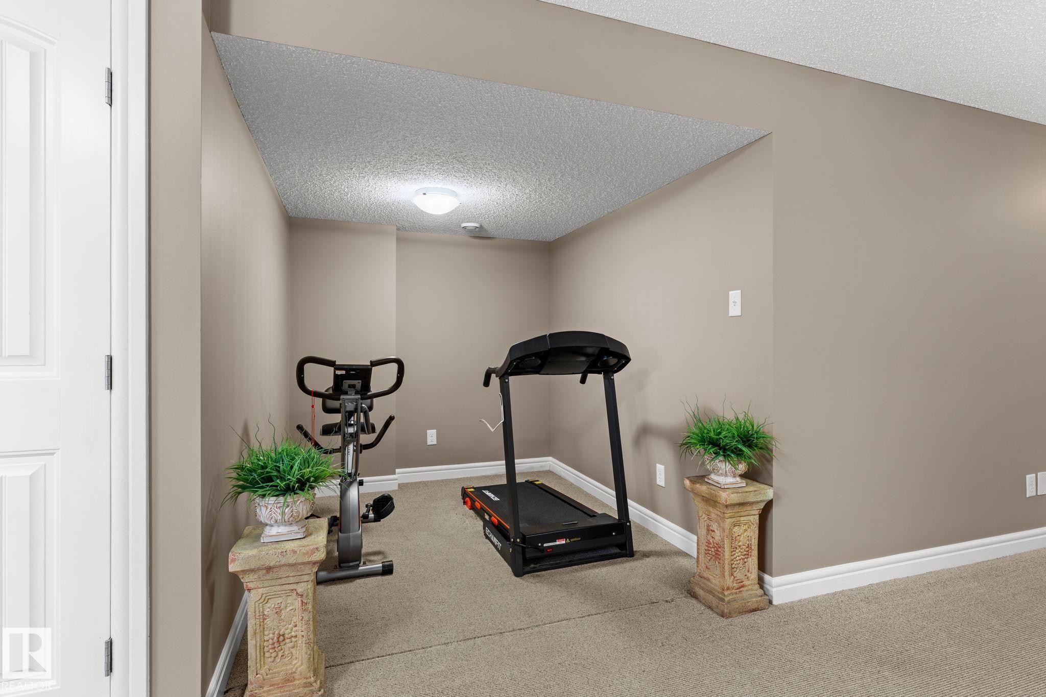 17027 121 Street Nw, Edmonton, AB - Indoor Photo Showing Gym Room