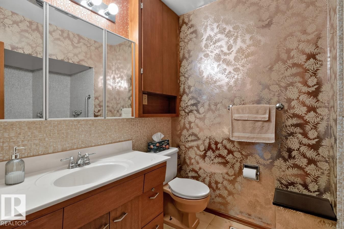 13336 106 Street Nw, Edmonton, AB - Indoor Photo Showing Bathroom