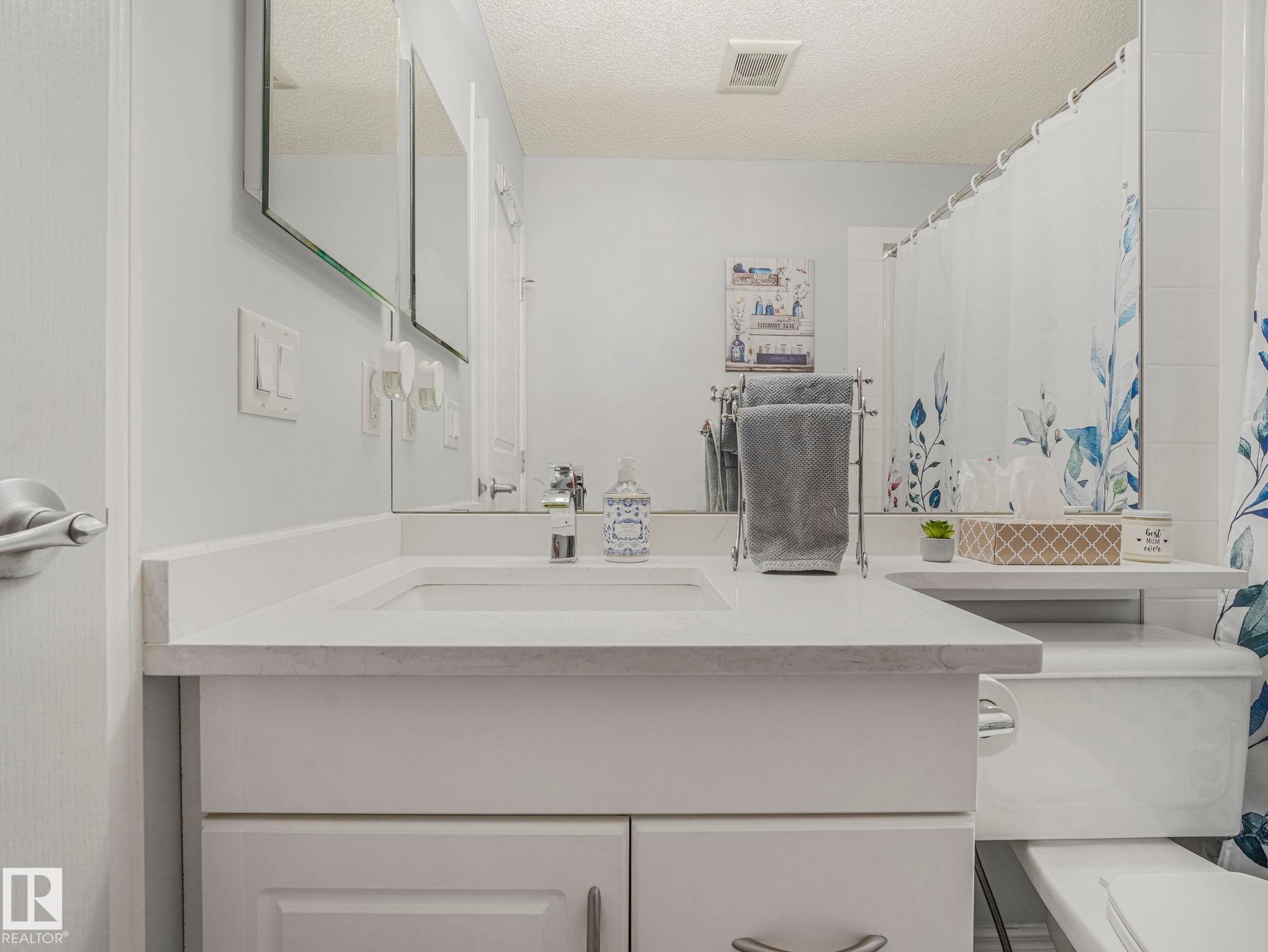 #208 16035 132 St Nw, Edmonton, AB - Indoor Photo Showing Bathroom