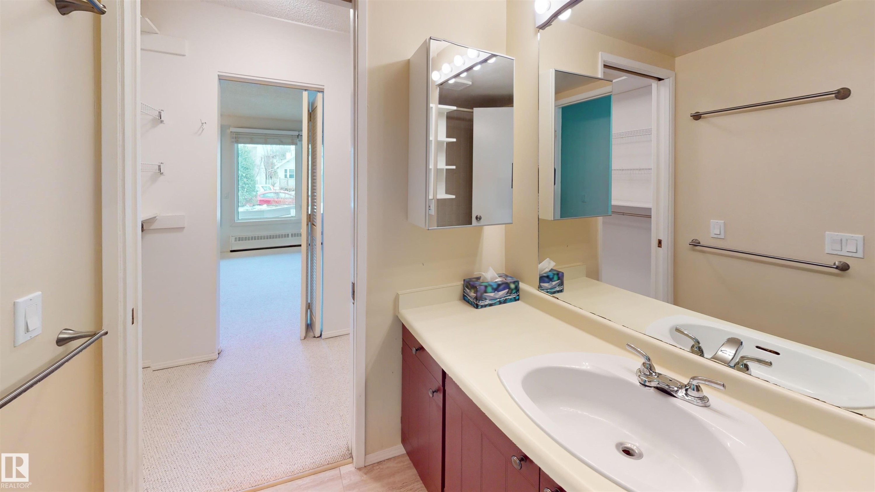 #109 11115 80 Av Nw, Edmonton, AB - Indoor Photo Showing Bathroom