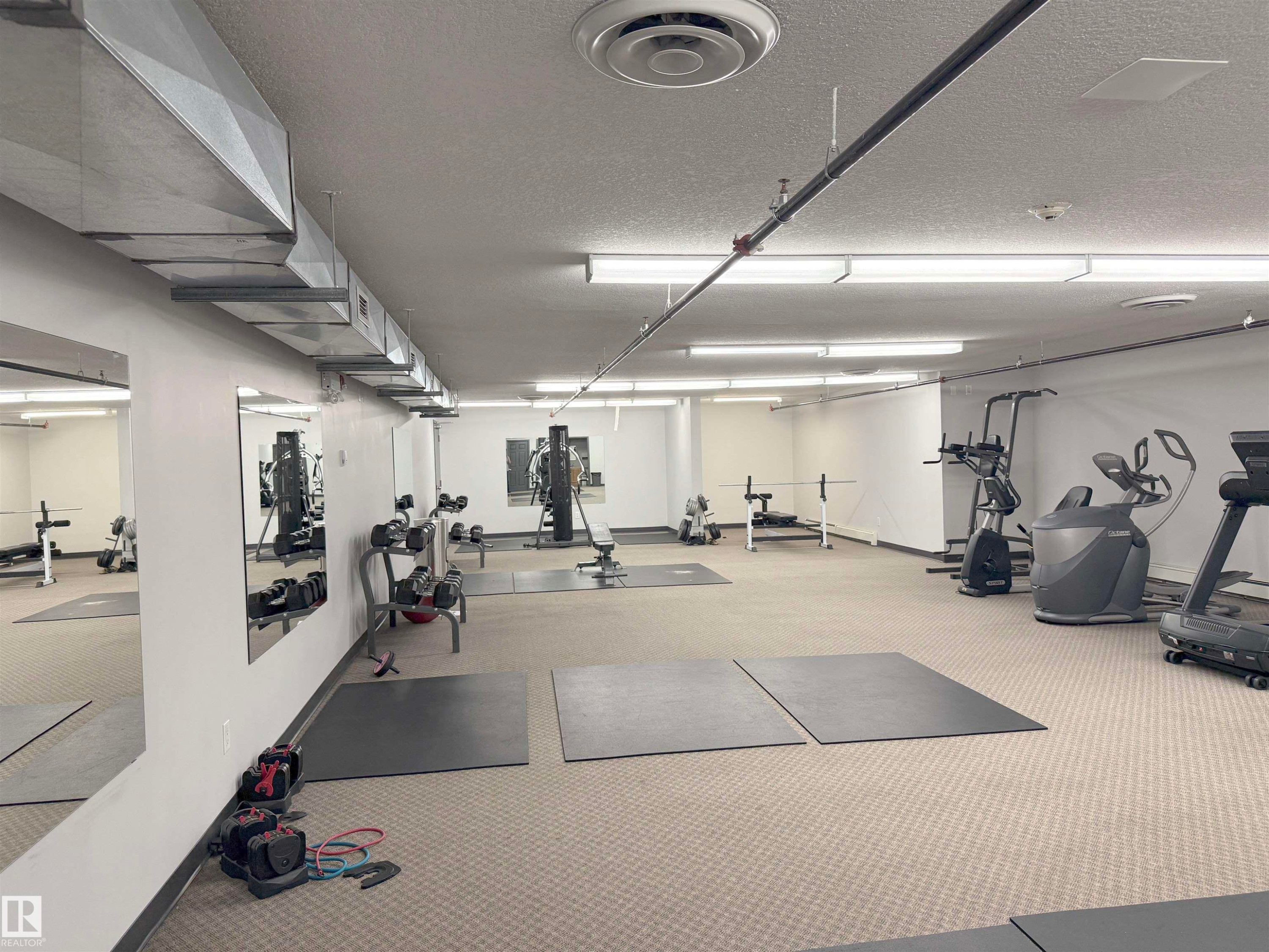 #213 5005 165 Av Nw Nw, Edmonton, AB - Indoor Photo Showing Gym Room