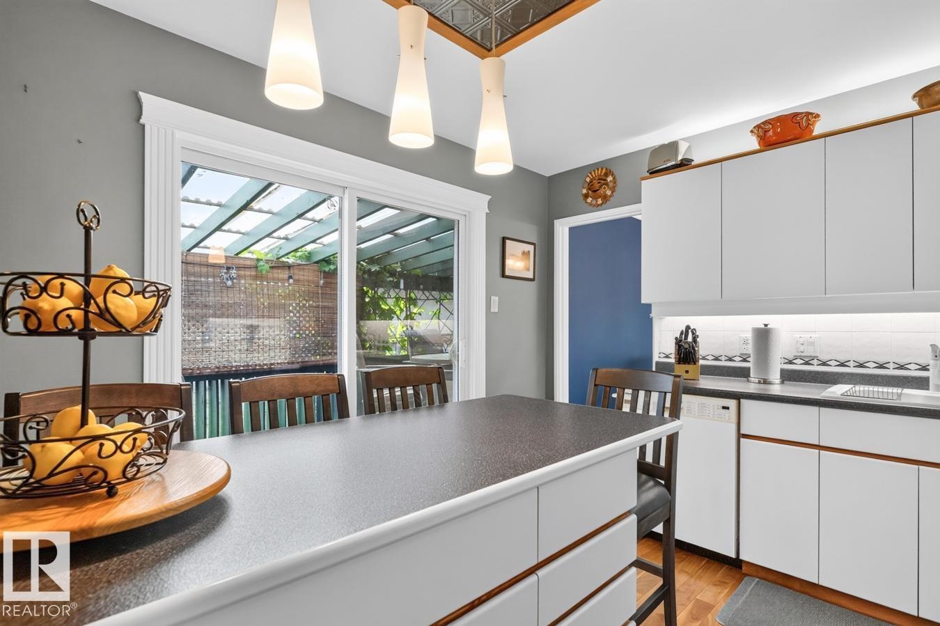 7607 75 Avenue Nw, Edmonton, AB - Indoor Photo Showing Kitchen