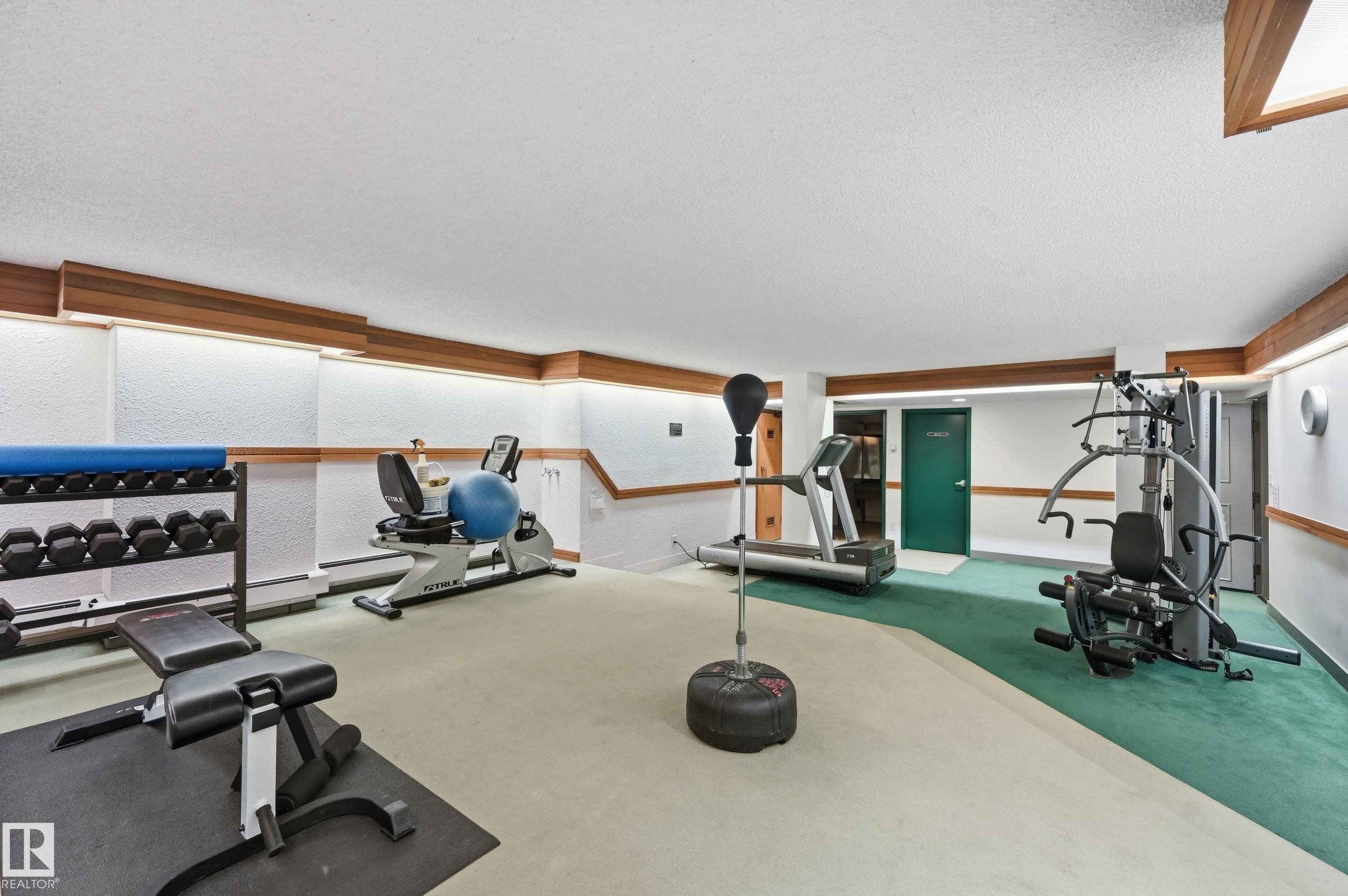 9929 113 Street Nw, Edmonton, AB - Indoor Photo Showing Gym Room
