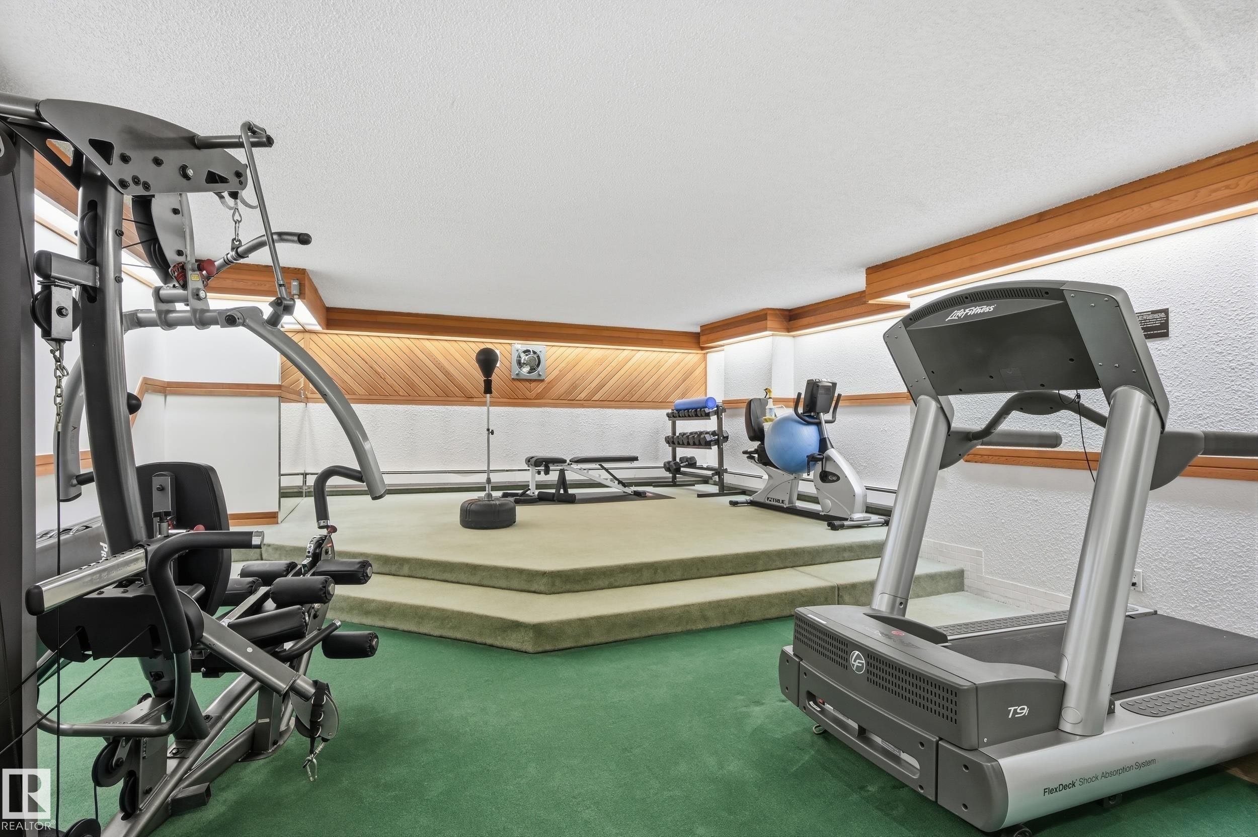 9929 113 Street Nw, Edmonton, AB - Indoor Photo Showing Gym Room