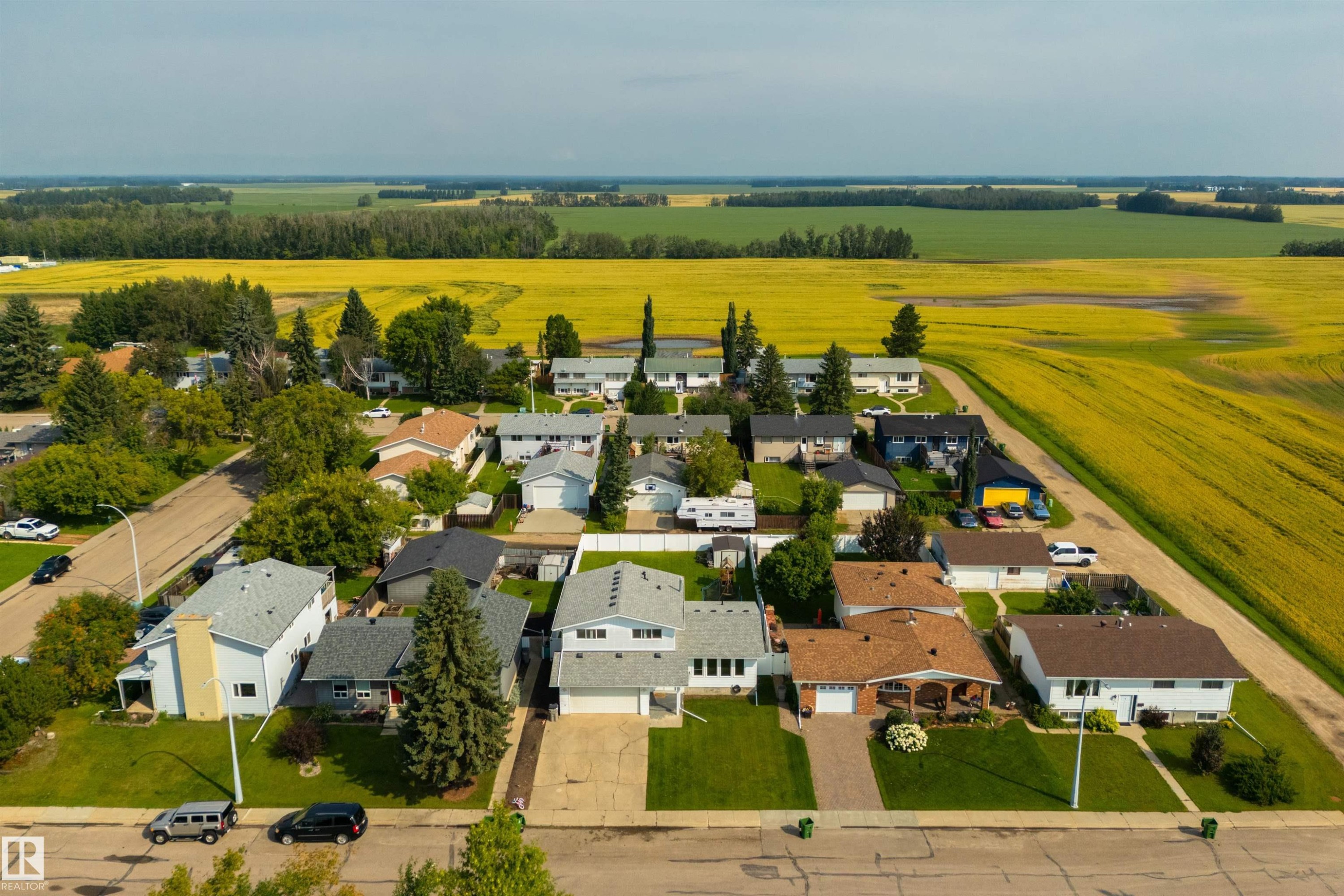 Residential street with established homes, mature trees, and manicured lawns - 4614 53 Ave, Calmar, AB - Outdoor With View