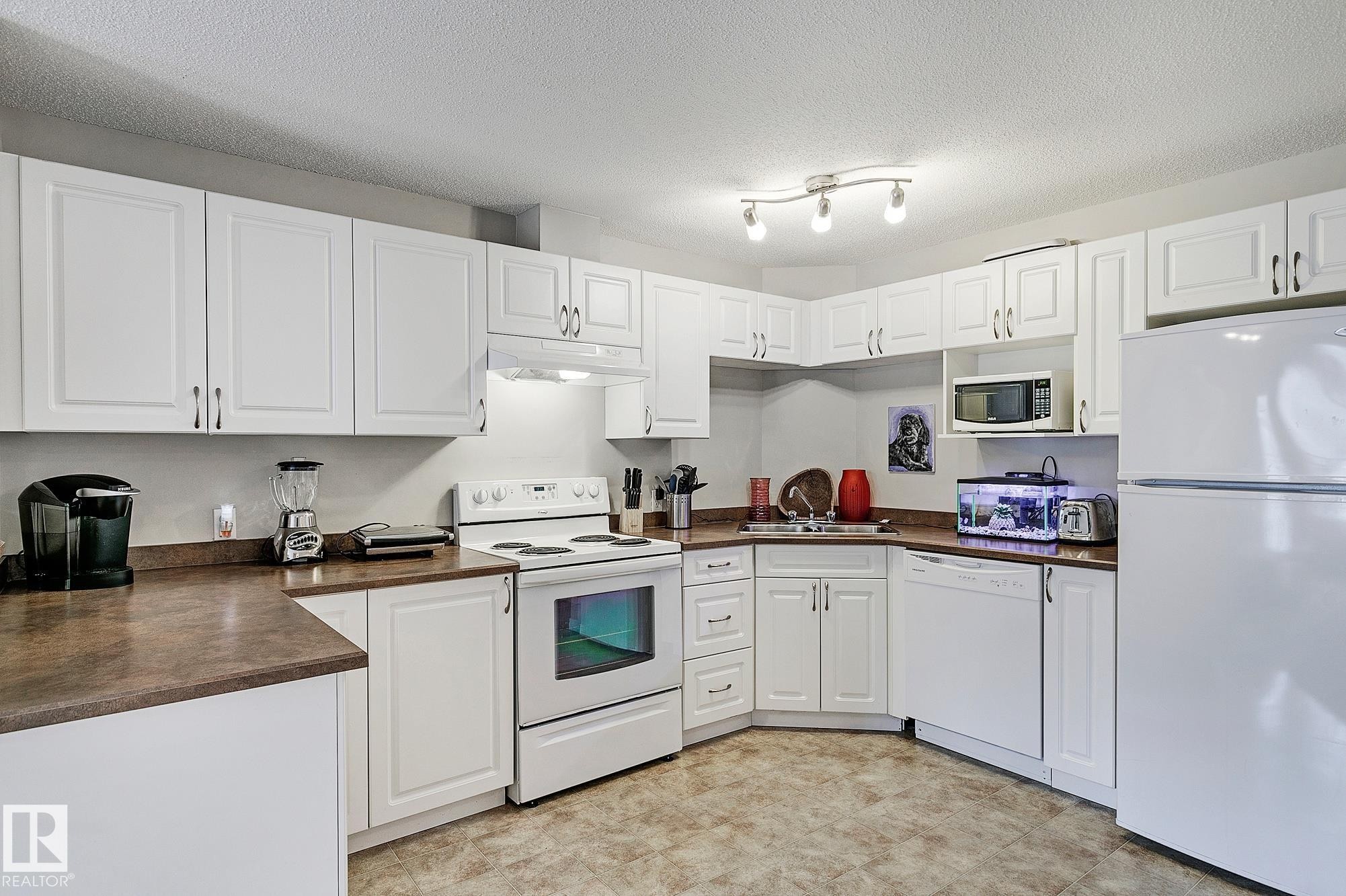 #203 111 Edwards Dr Sw, Edmonton, AB - Indoor Photo Showing Kitchen