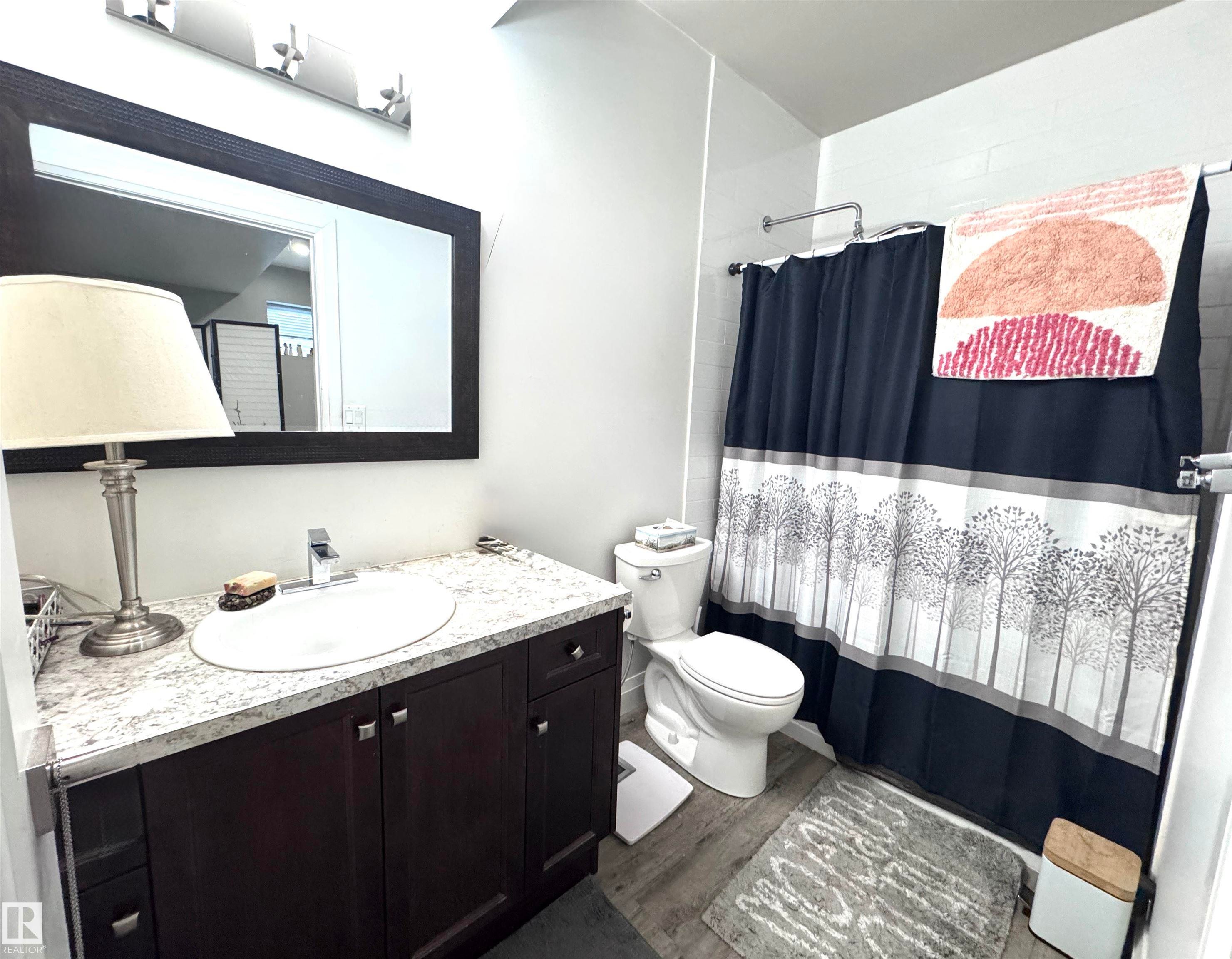 7004 97 Street Nw, Edmonton, AB - Indoor Photo Showing Bathroom