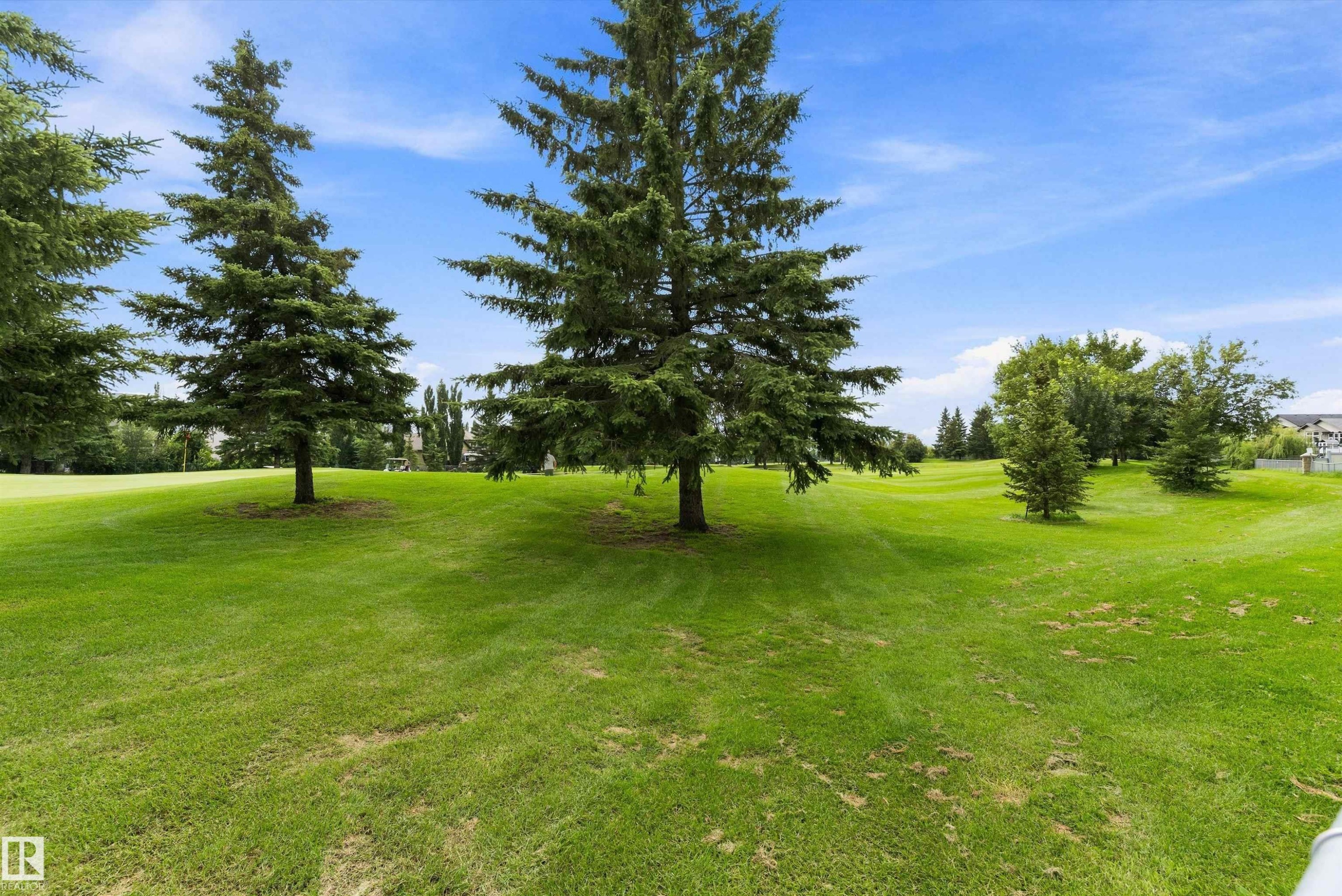 Expansive green space featuring evergreen trees and a manicured lawn - 20845 92A Avenue Nw, Edmonton, AB - Outdoor With View