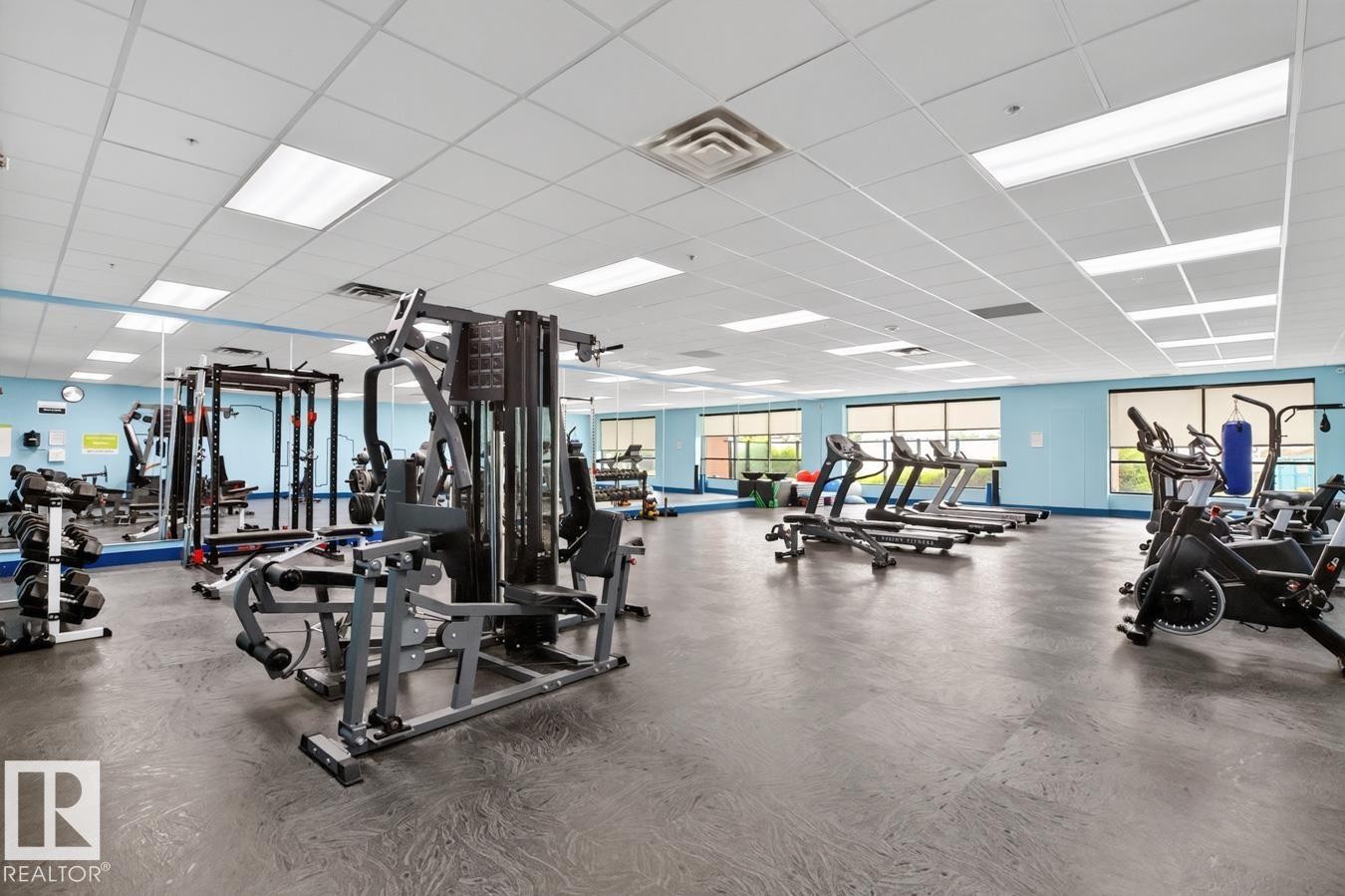 Spacious fitness center featuring various exercise equipment, resilient flooring, extensive mirrors, and large windows - #210 7909 71 St Nw, Edmonton, AB - Indoor Photo Showing Gym Room