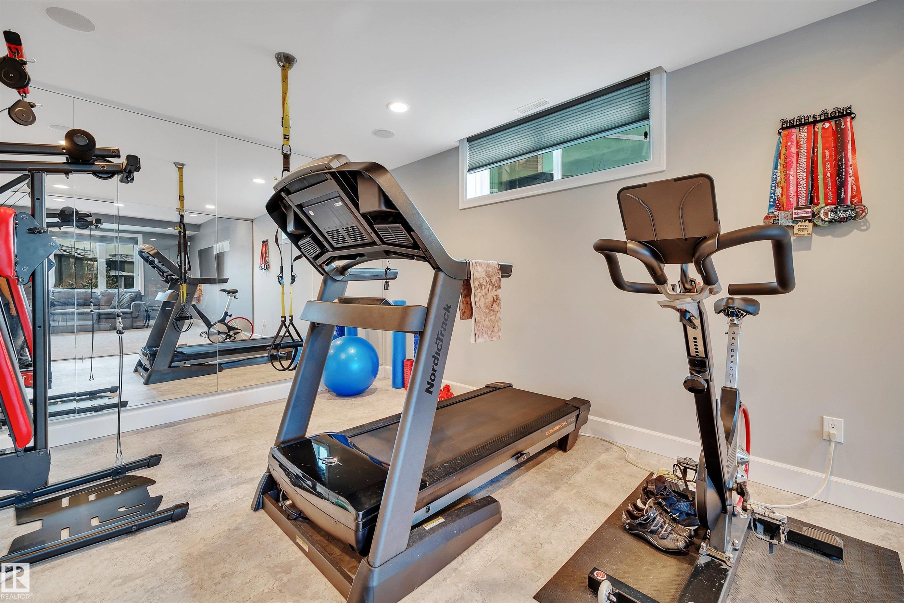 4510 Wingfield Bay Nw, Edmonton, AB - Indoor Photo Showing Gym Room