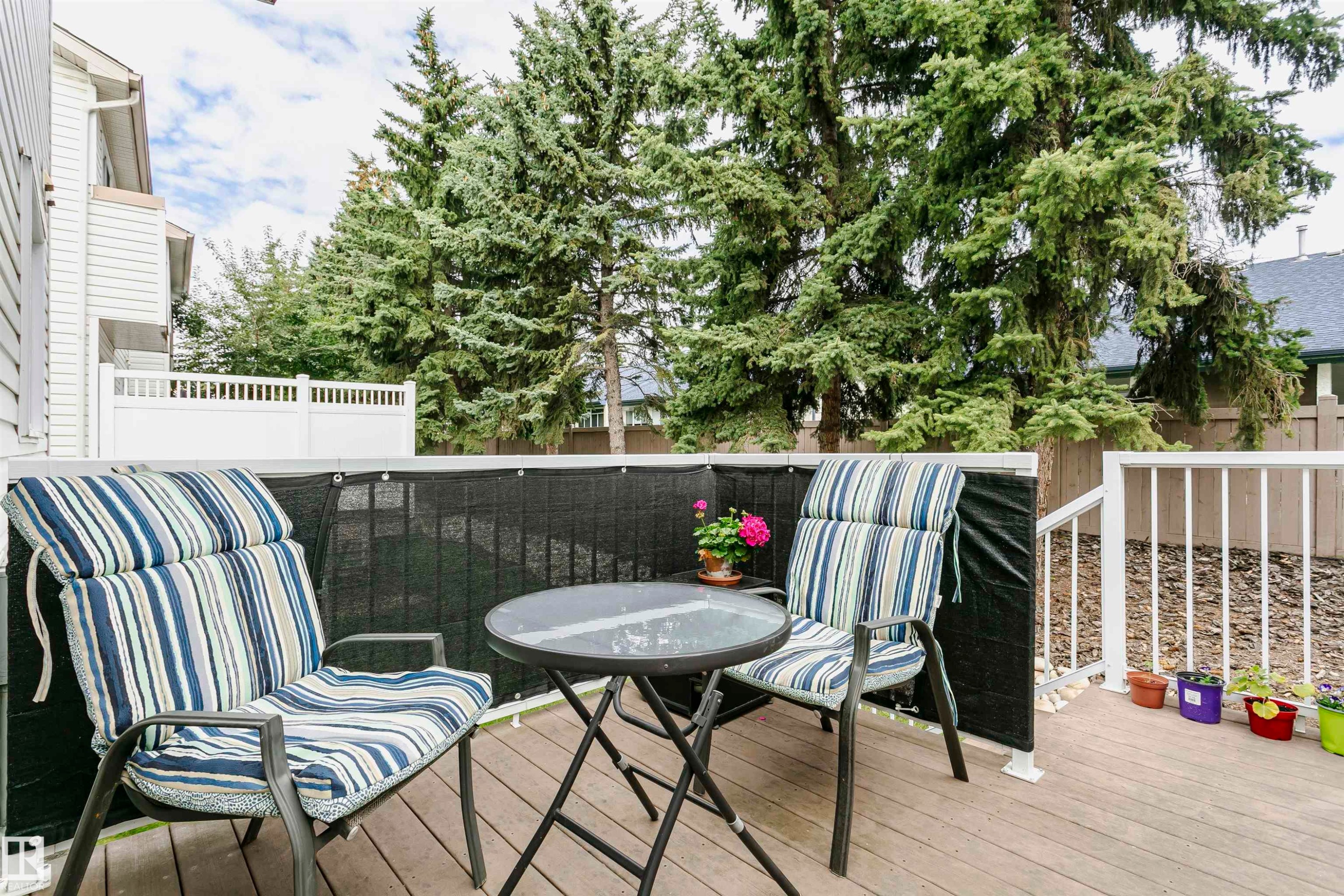 Wood-finish deck with white railings and a privacy screen - #42 9630 176 St Nw, Edmonton, AB - Outdoor With Deck Patio Veranda With Exterior