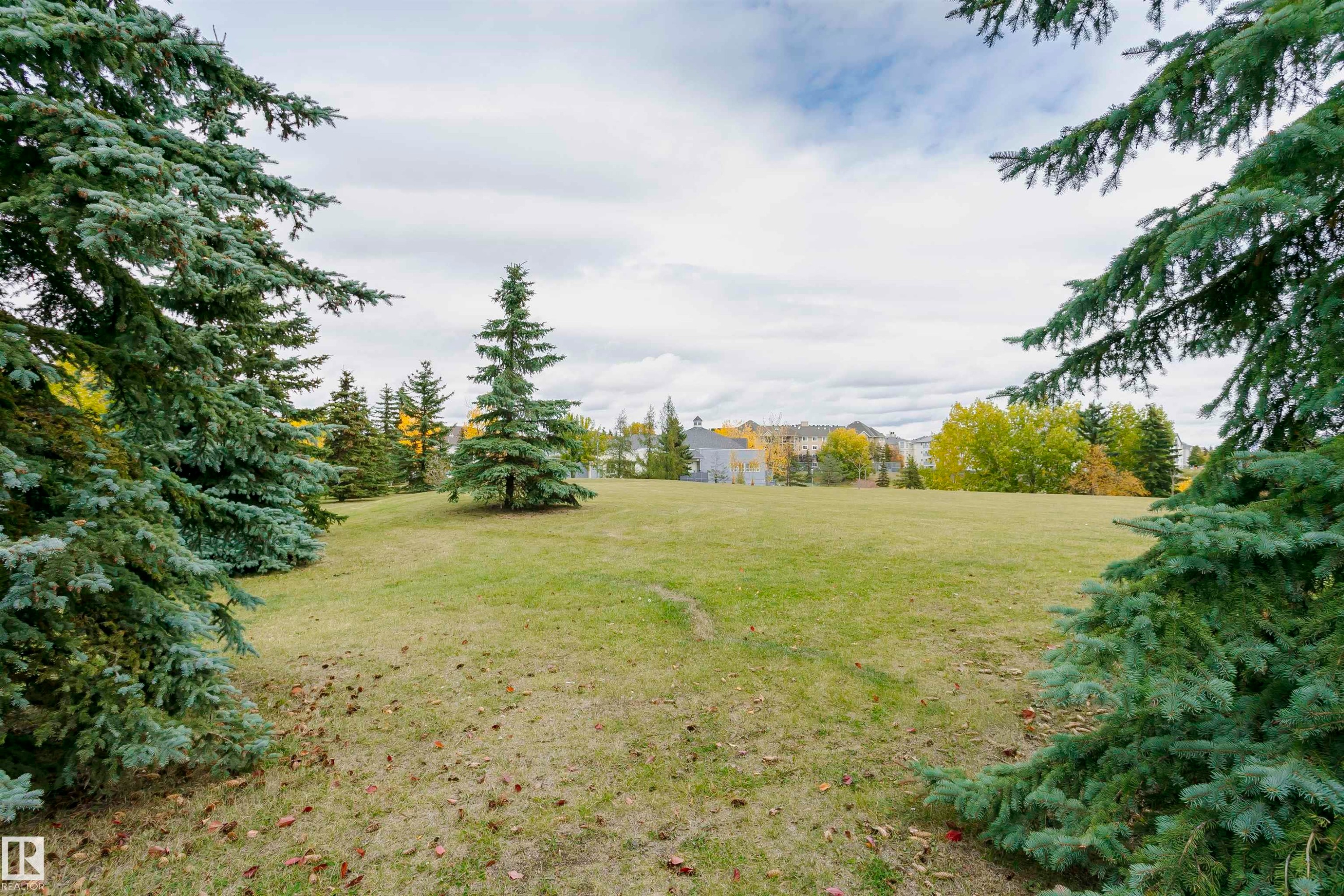 Expansive green space featuring mature evergreen trees and a graded lawn - #42 9630 176 St Nw, Edmonton, AB - Outdoor With View