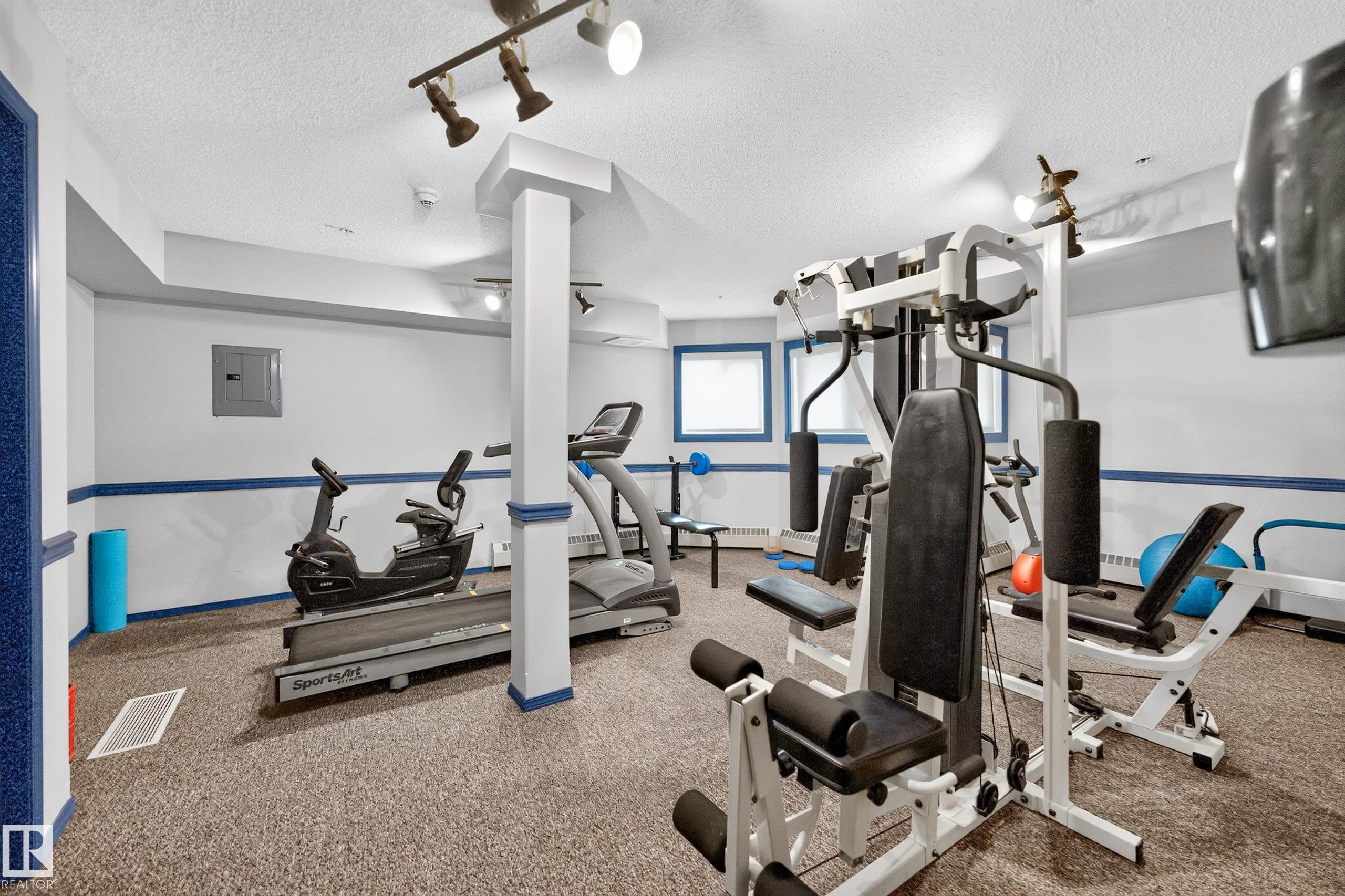 #206 7839 96 St Nw, Edmonton, AB - Indoor Photo Showing Gym Room