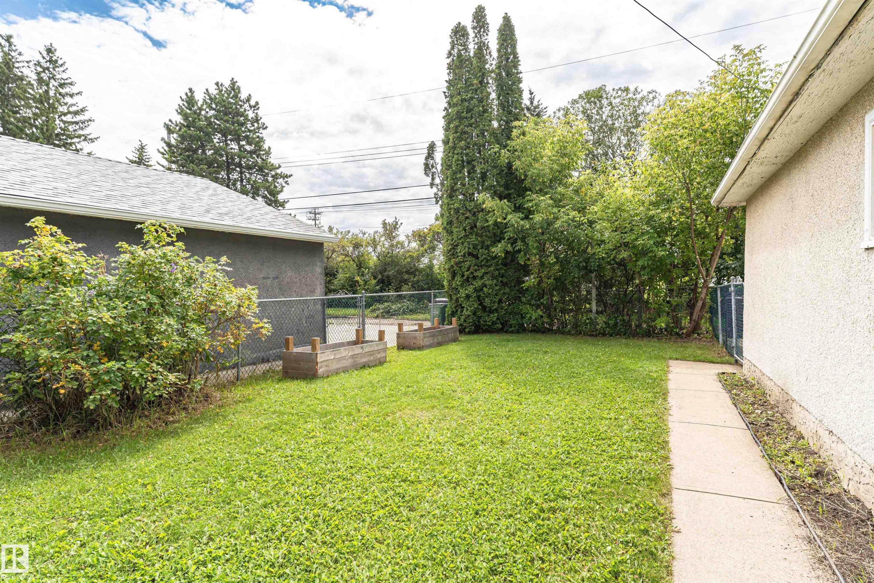 Expansive green lawn with established trees, concrete walkway, and raised wooden garden beds - 11139 62 Avenue Nw, Edmonton, AB - Outdoor