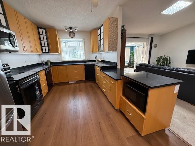 4717 25 Avenue Nw, Edmonton, AB - Indoor Photo Showing Kitchen With Double Sink