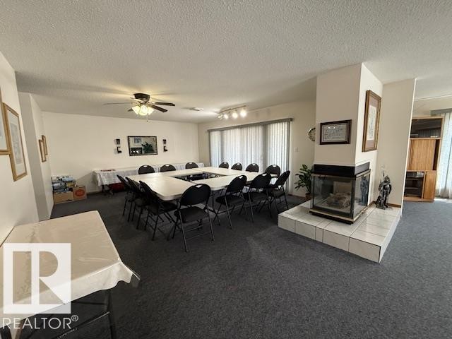4717 25 Avenue Nw, Edmonton, AB - Indoor With Fireplace