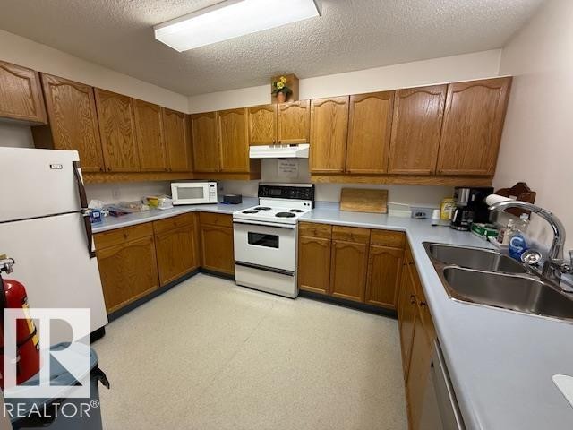 4717 25 Avenue Nw, Edmonton, AB - Indoor Photo Showing Kitchen With Double Sink