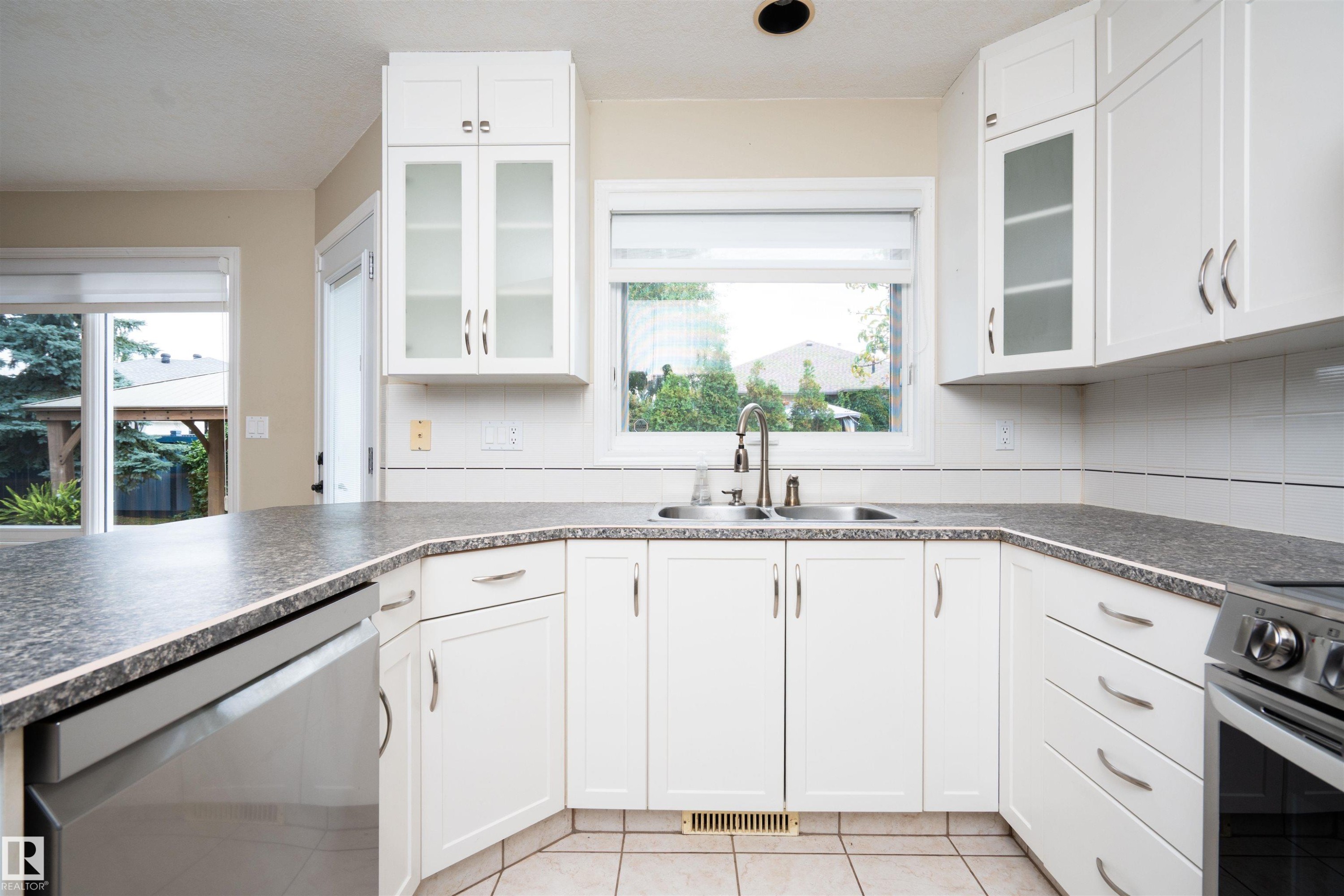 3811 44 Street Nw, Edmonton, AB - Indoor Photo Showing Kitchen With Double Sink