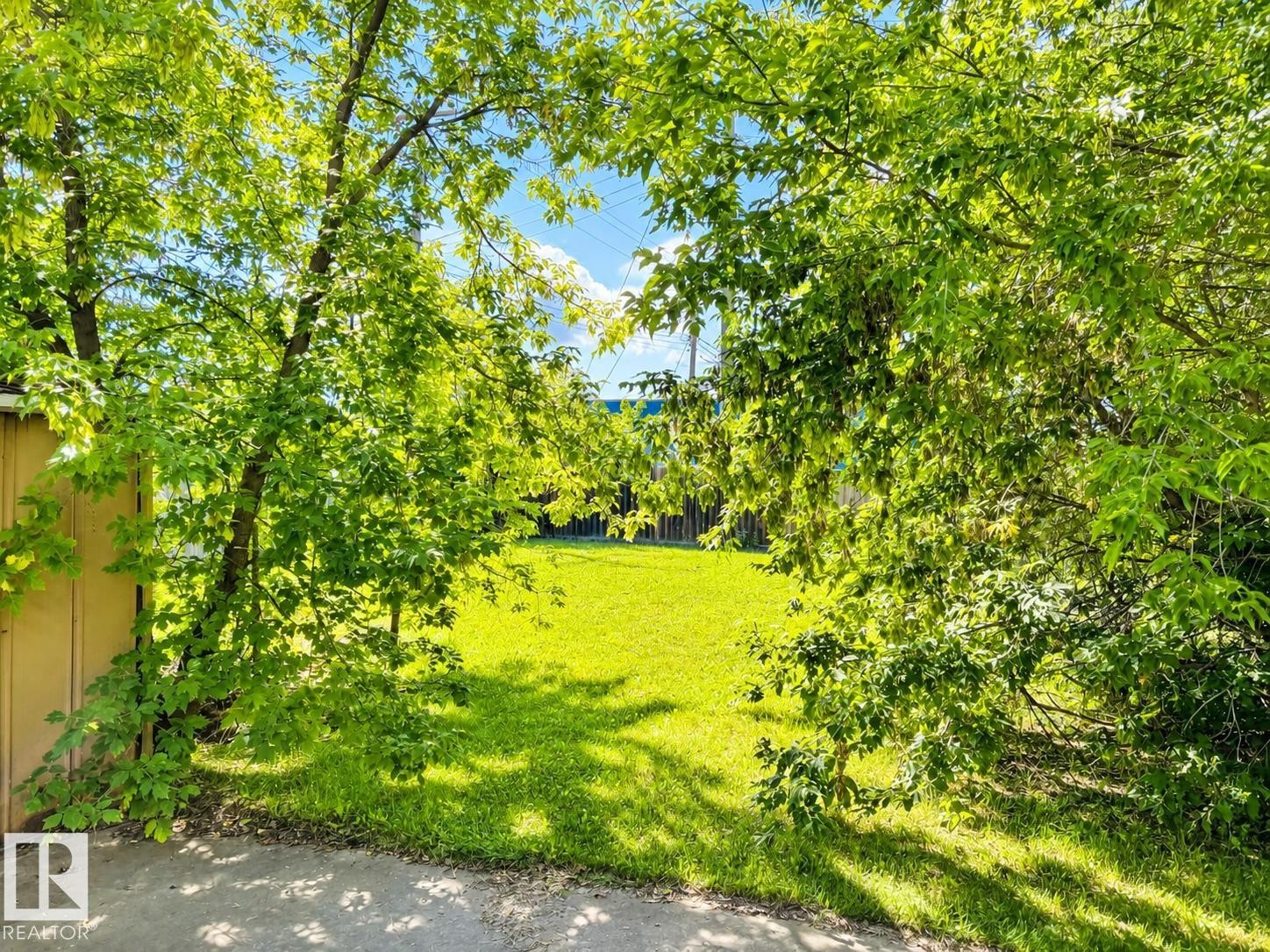 Expansive green lawn with dappled sunlight, framed by mature trees with lush foliage - 802 16 Avenue, Cold Lake, AB - Outdoor